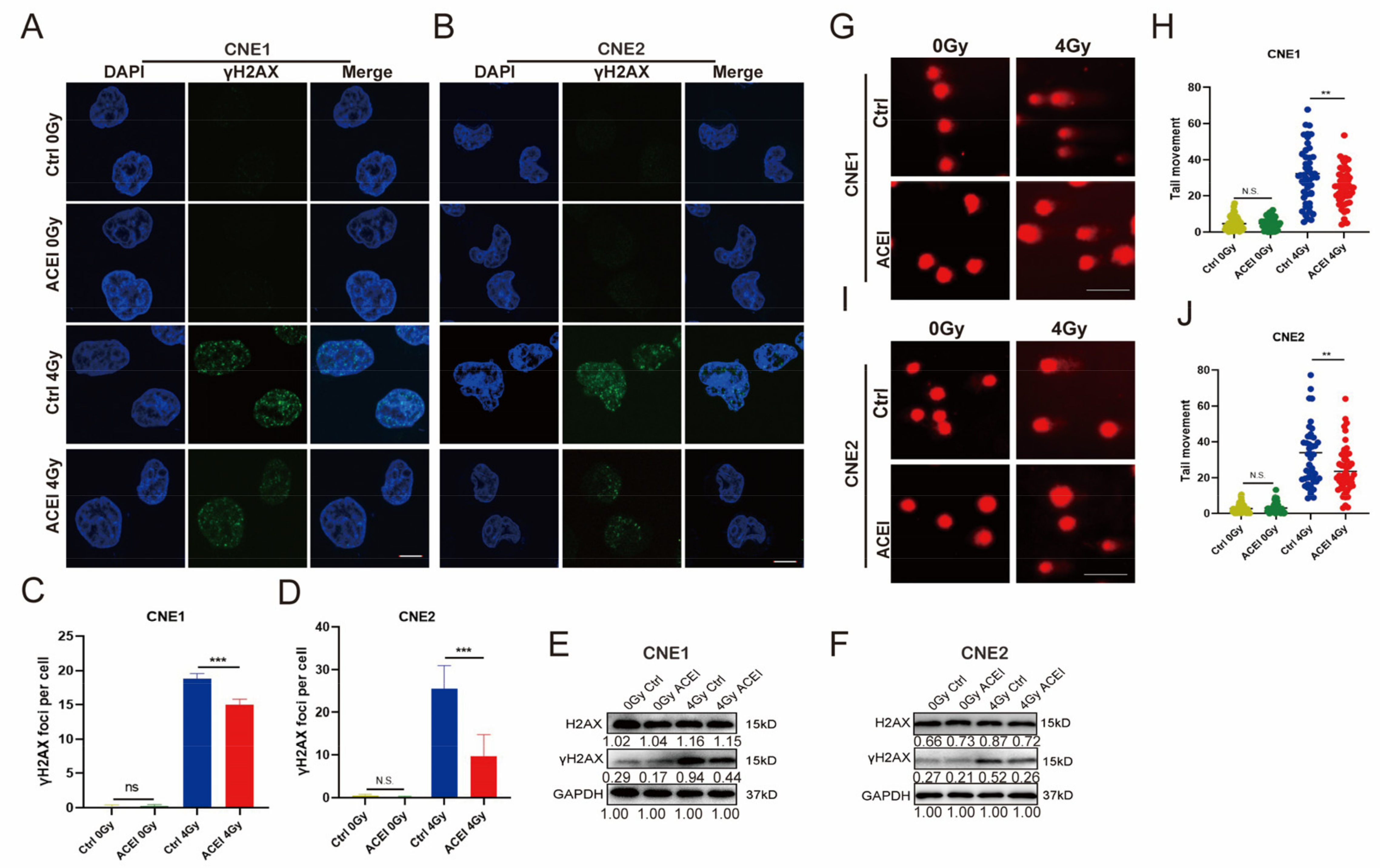 Biomedicines 11 01581 g005