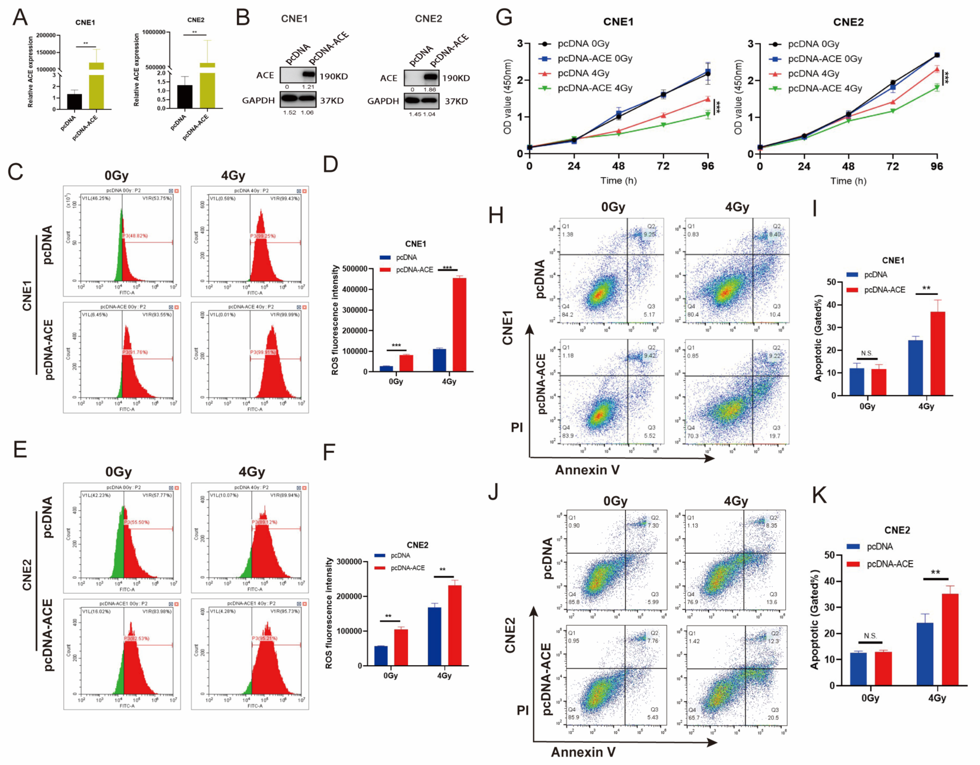 Biomedicines 11 01581 g006