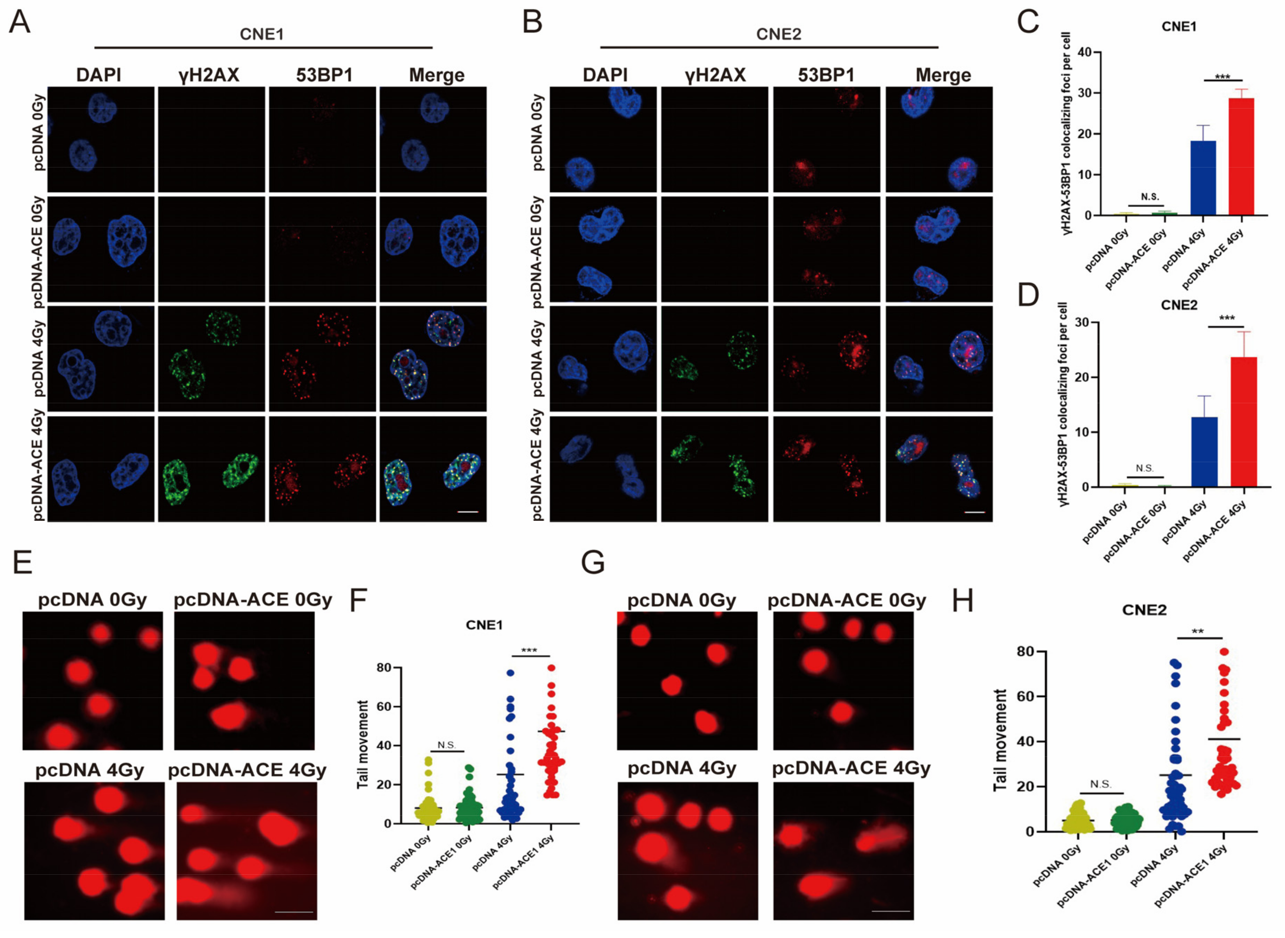 Biomedicines 11 01581 g007