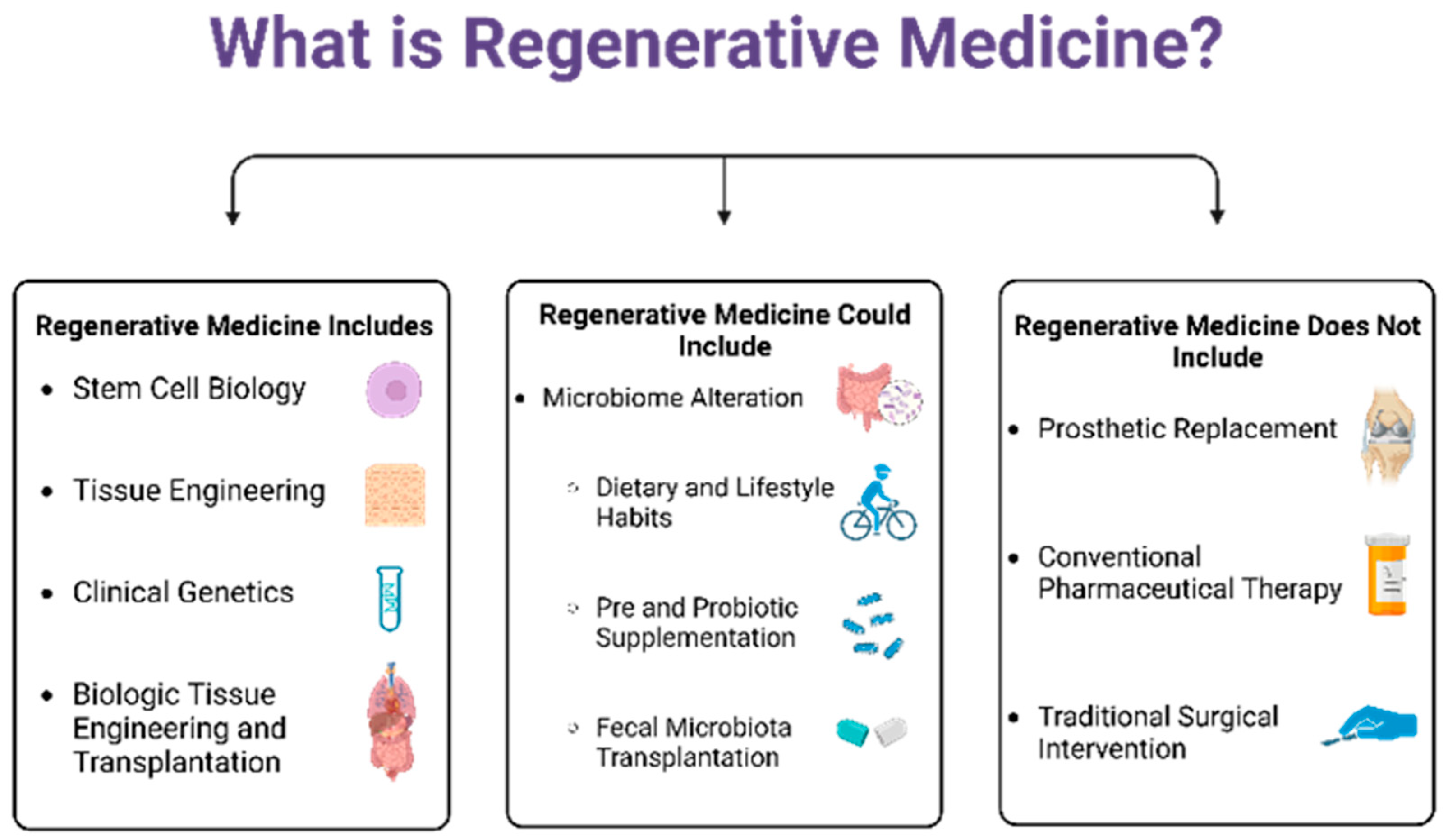 Biomedicines 11 01582 g001