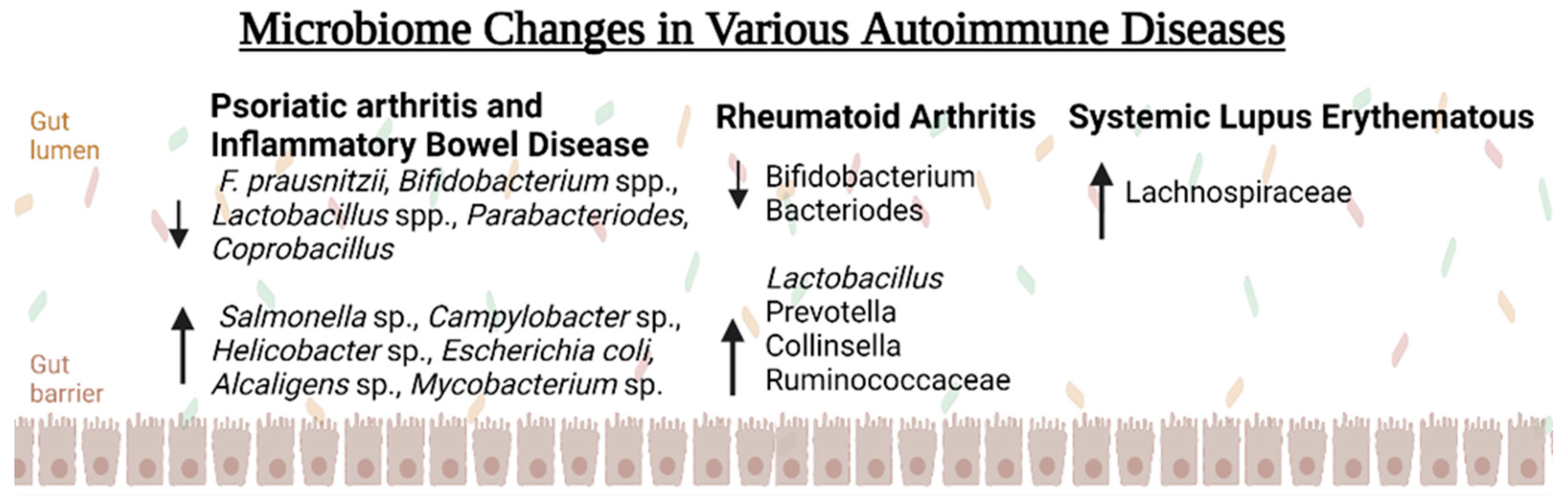 Biomedicines 11 01582 g003