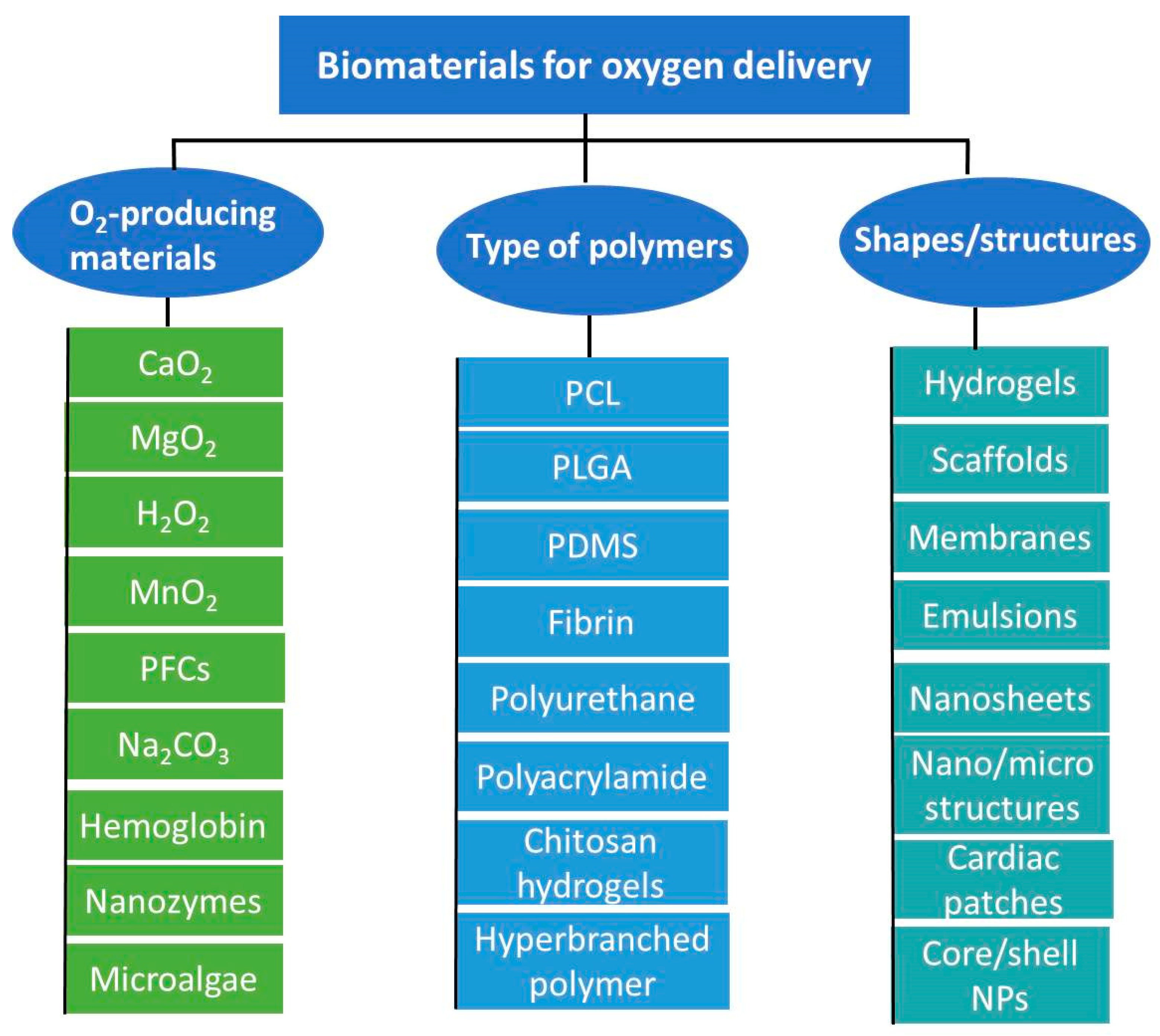 Biomedicines 11 01592 g001 Biomedicines 11 01592 g001