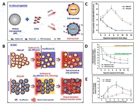 Biomedicines 11 01592 g002