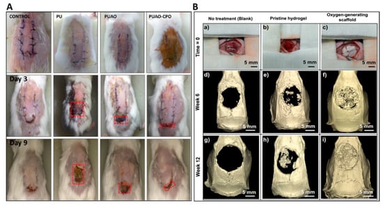 Biomedicines 11 01592 g003