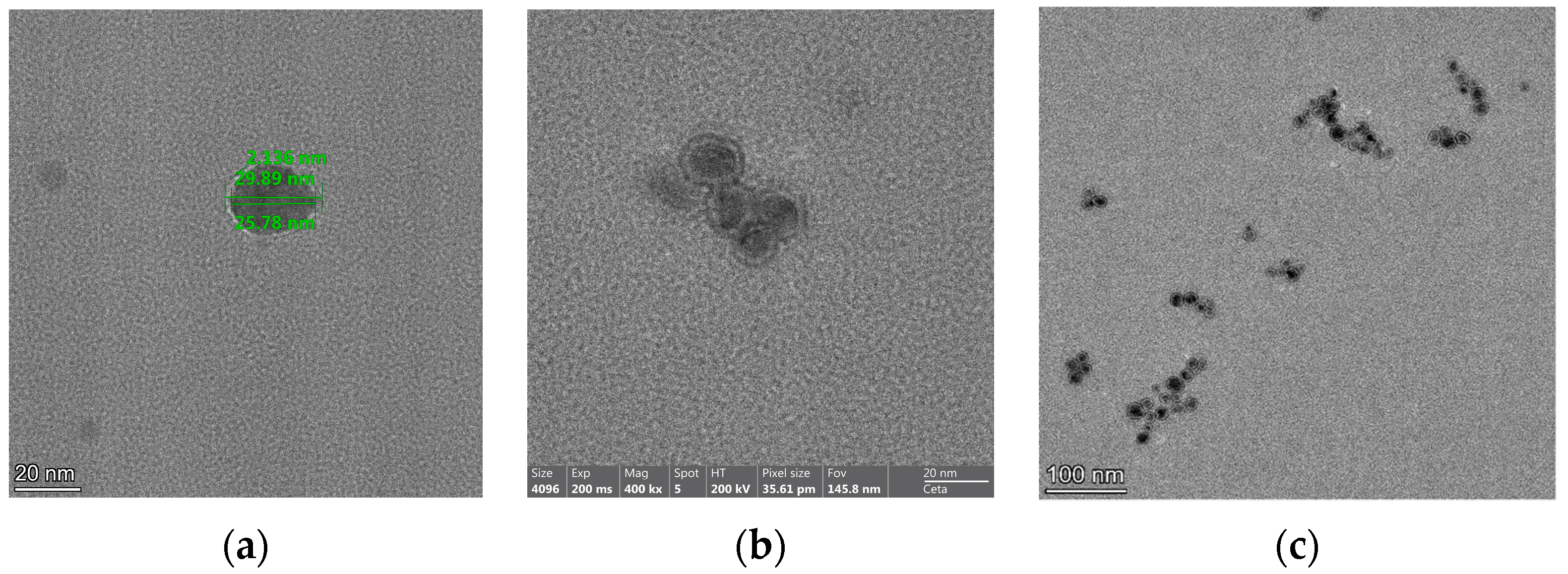 Biomedicines 11 01593 g005