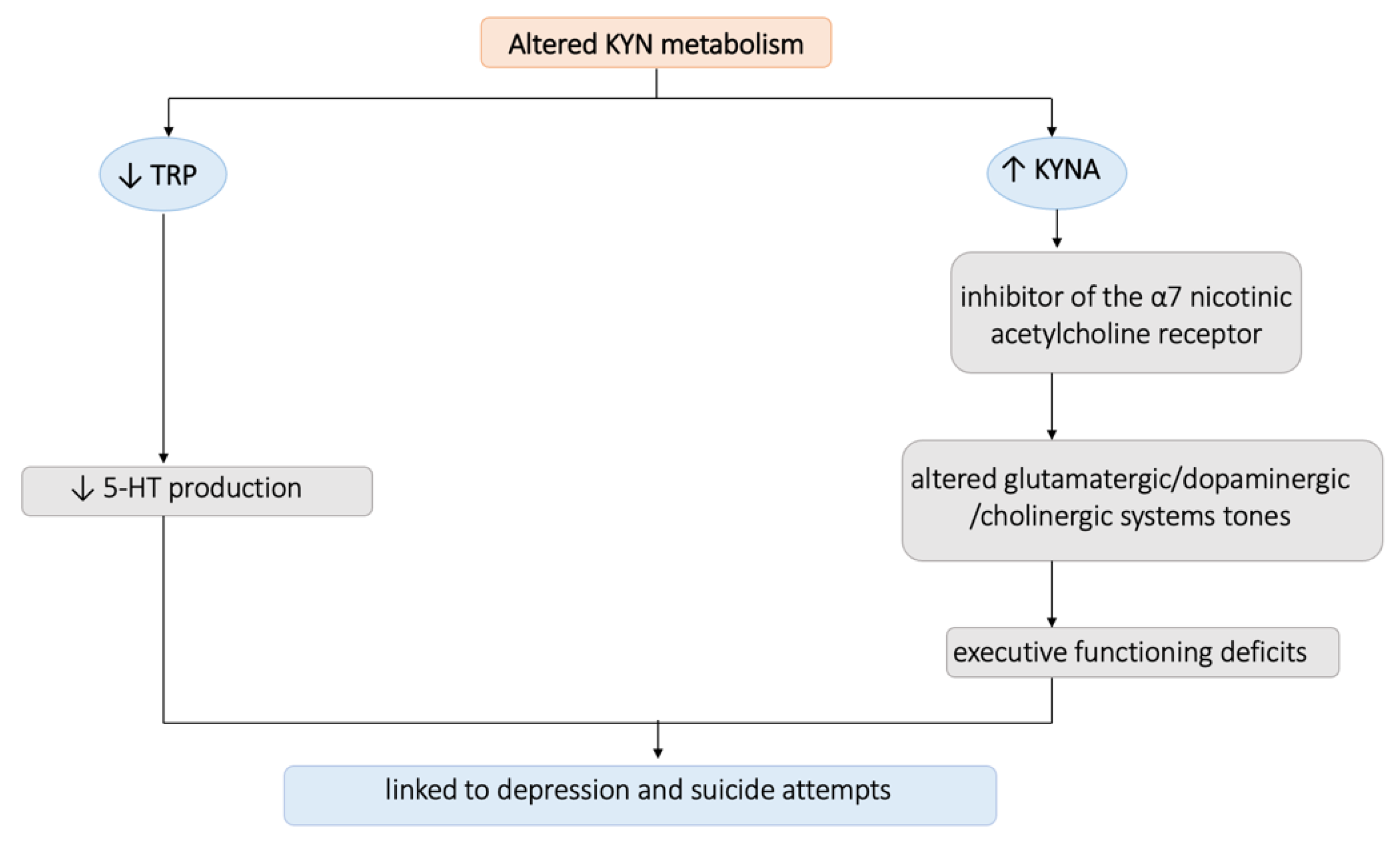 Biomedicines 11 01600 g003