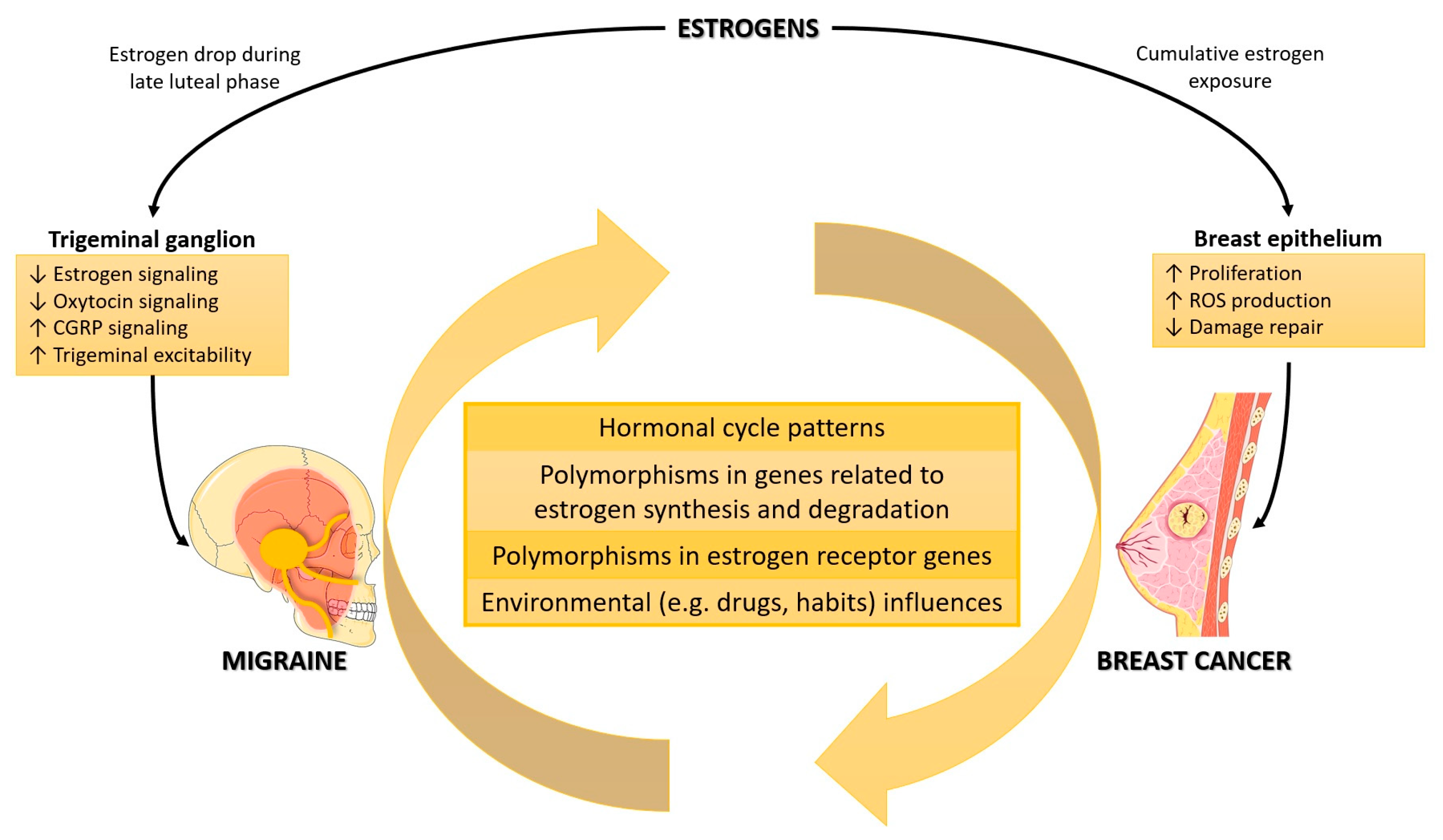 Biomedicines 11 01613 g001
