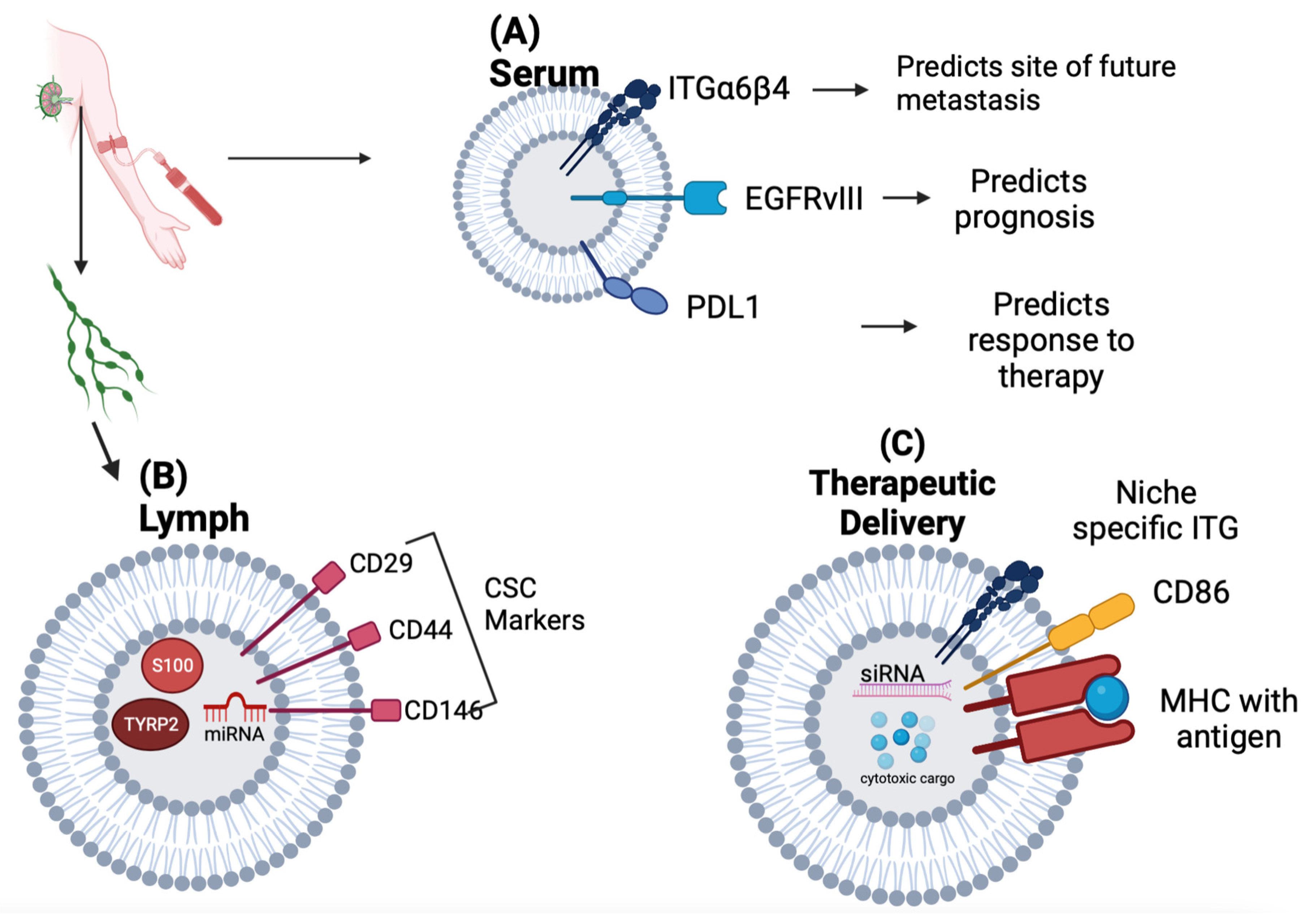 Biomedicines 11 01614 g004 Biomedicines 11 01614 g004