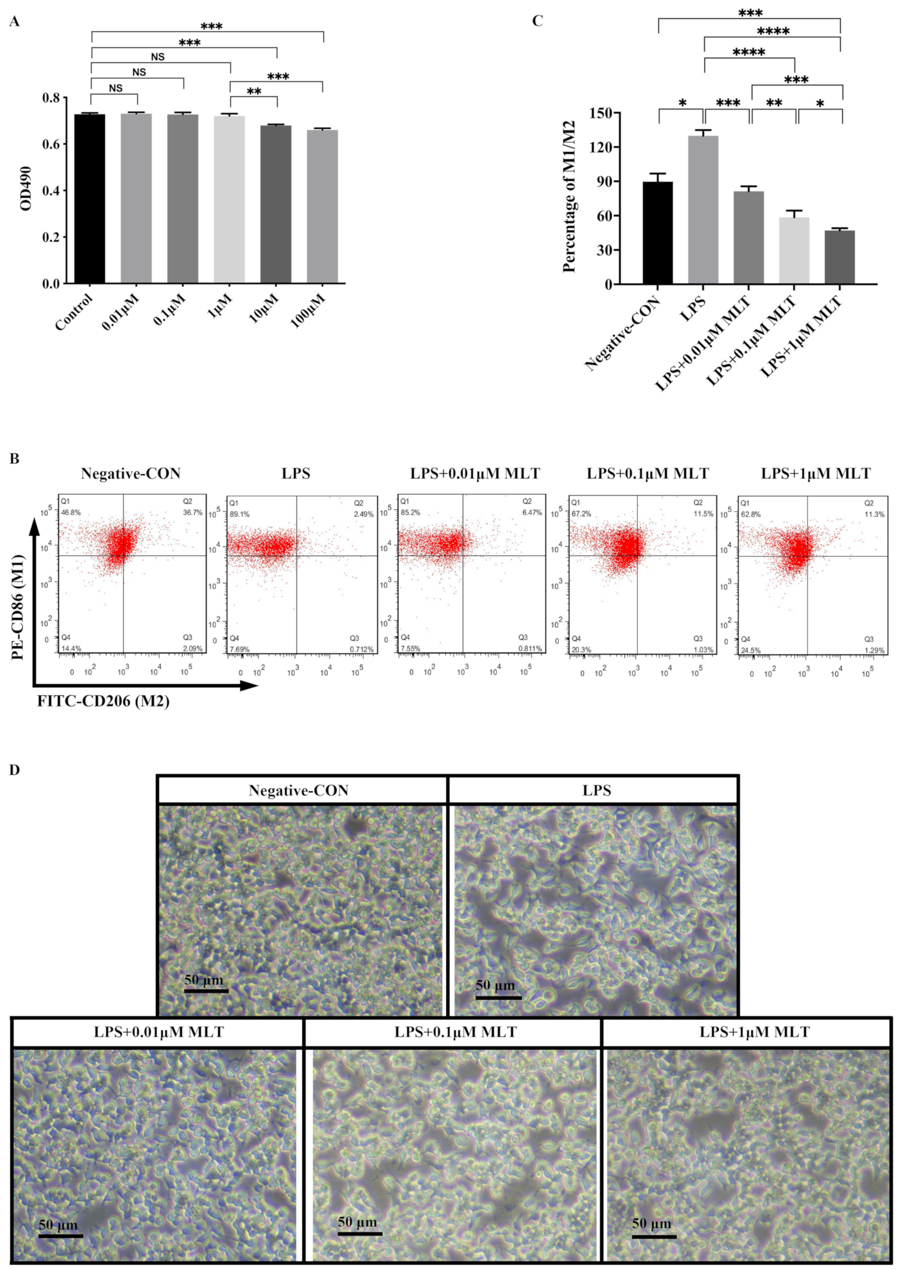 Biomedicines 11 01615 g001