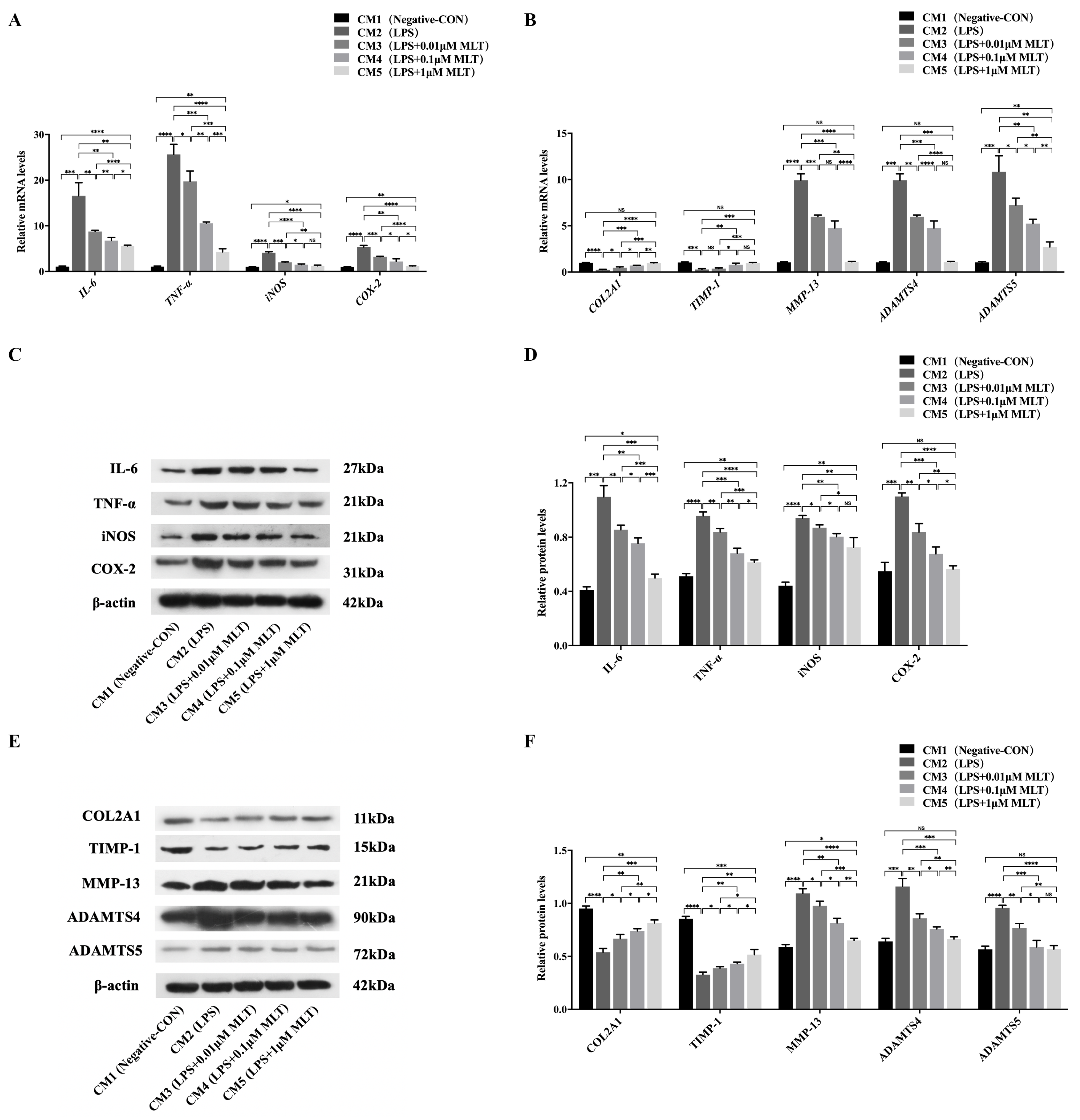 Biomedicines 11 01615 g004