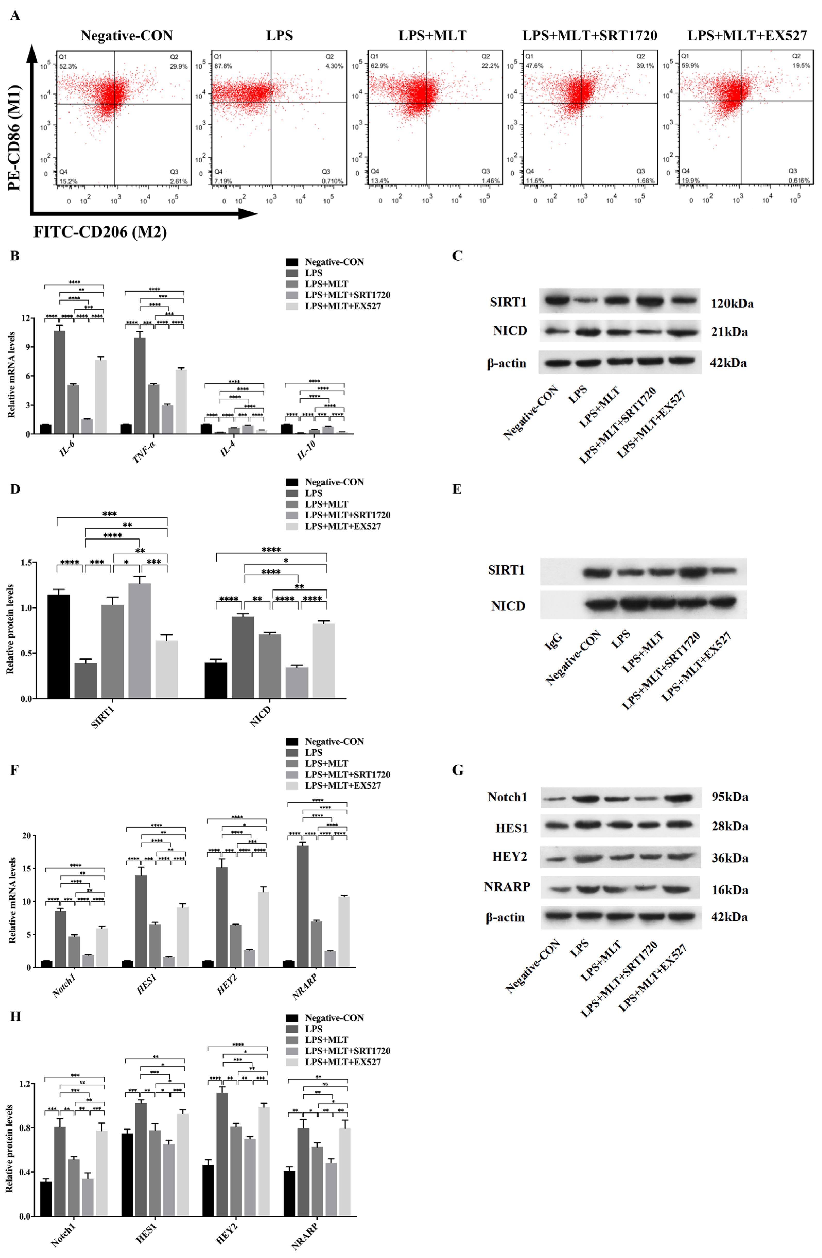Biomedicines 11 01615 g005
