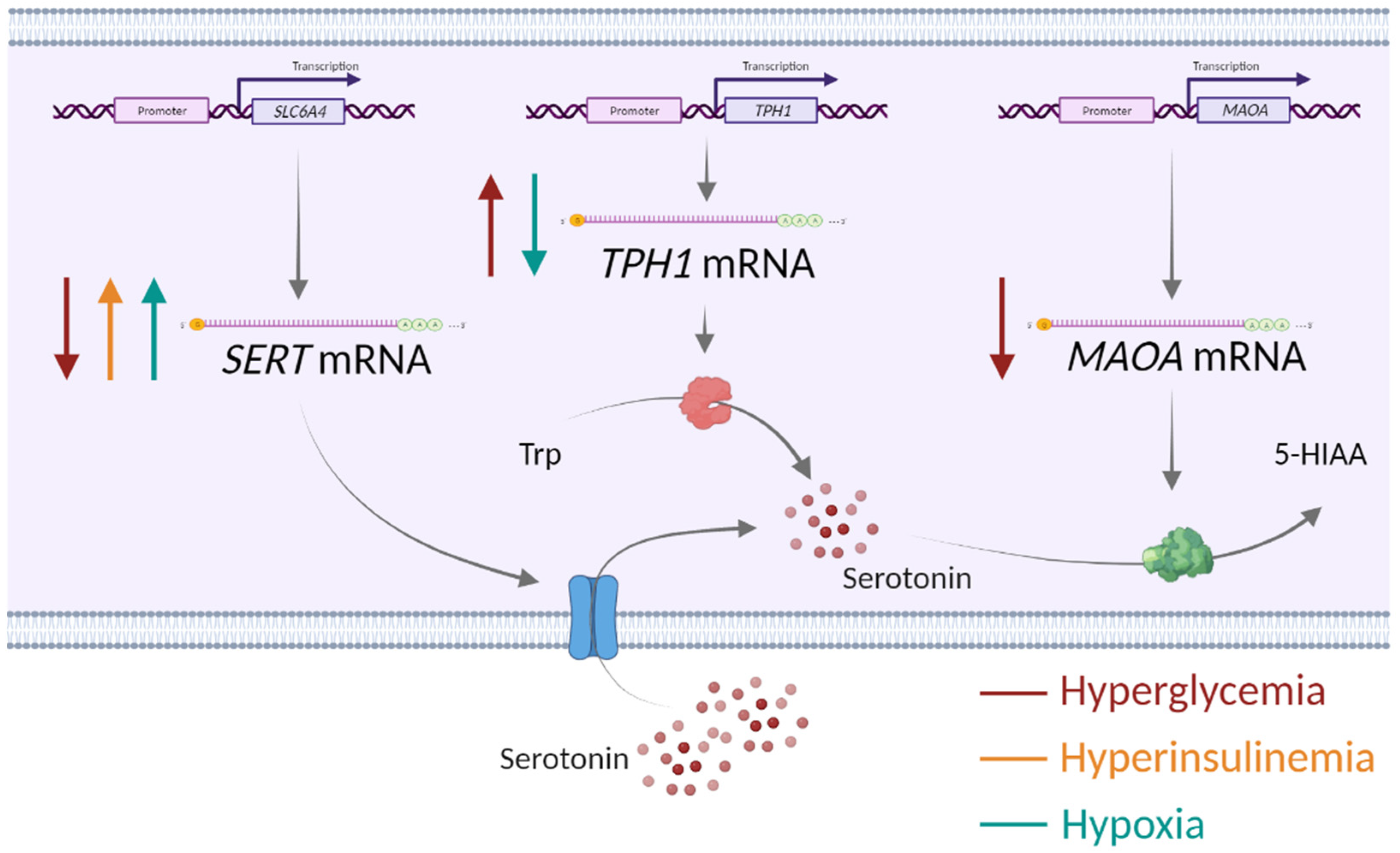Biomedicines 11 01619 g003 Biomedicines 11 01619 g003