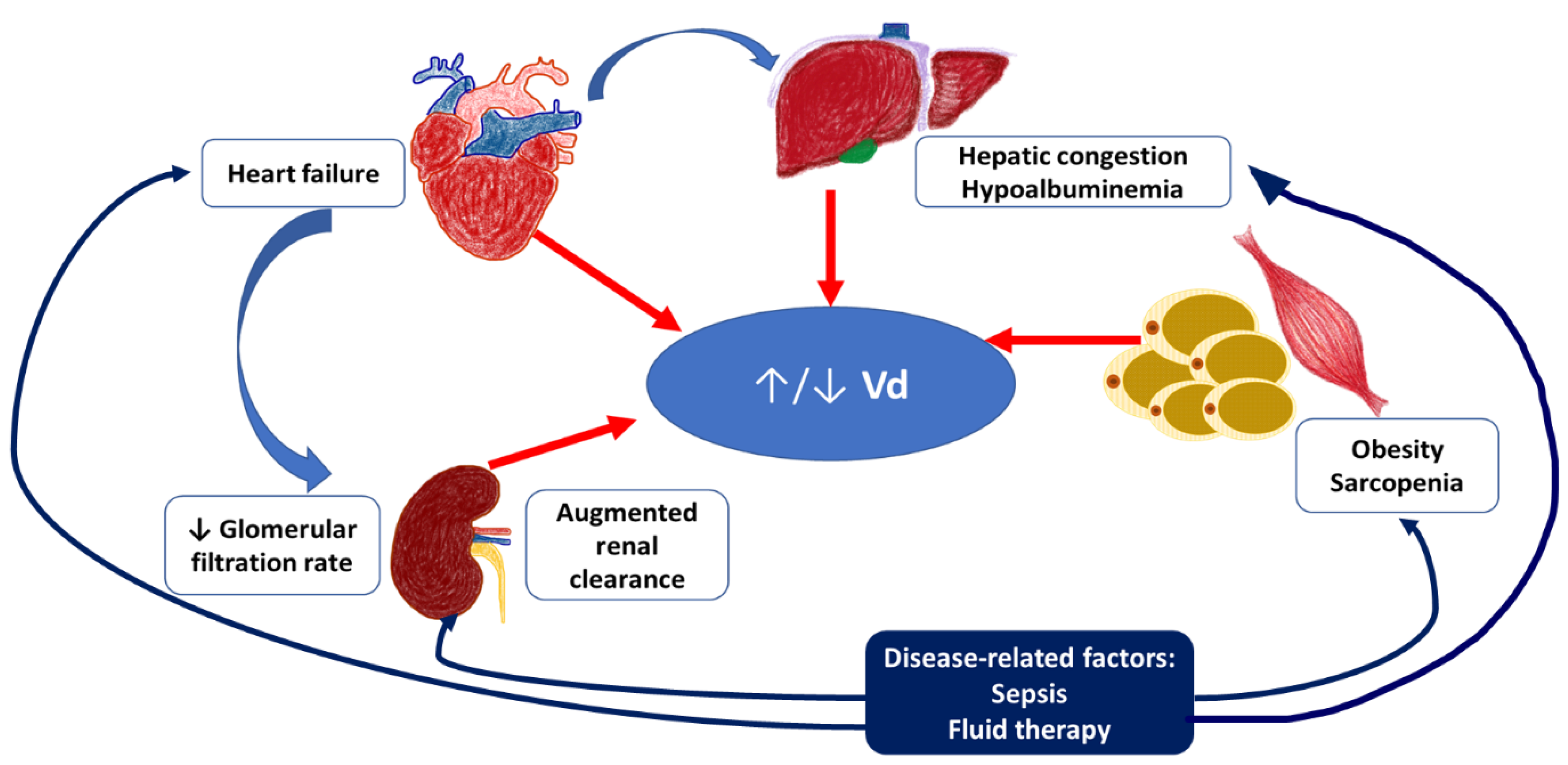 Biomedicines 11 01633 g001 Biomedicines 11 01633 g001