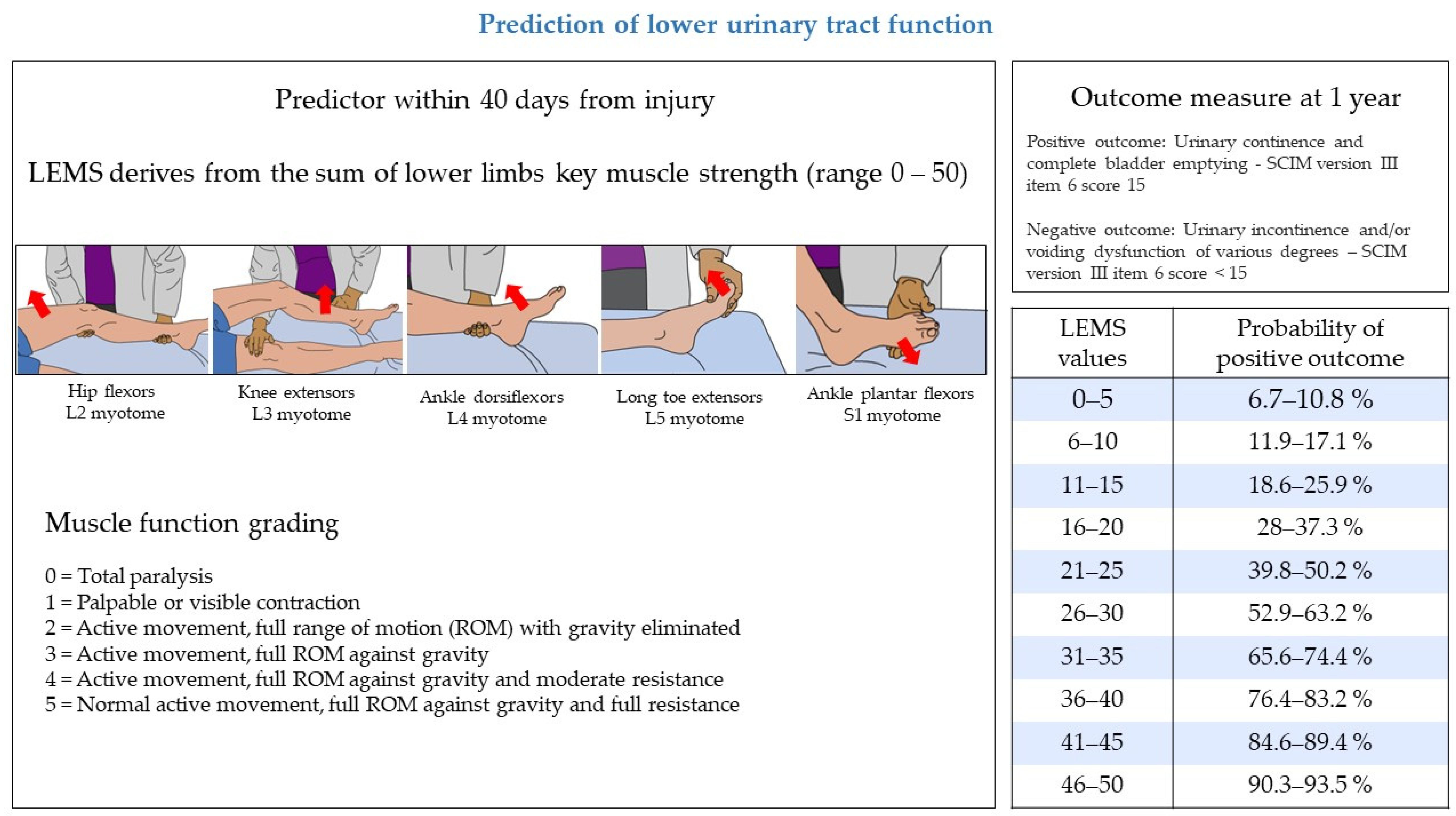 Biomedicines 11 01644 g001 Biomedicines 11 01644 g001