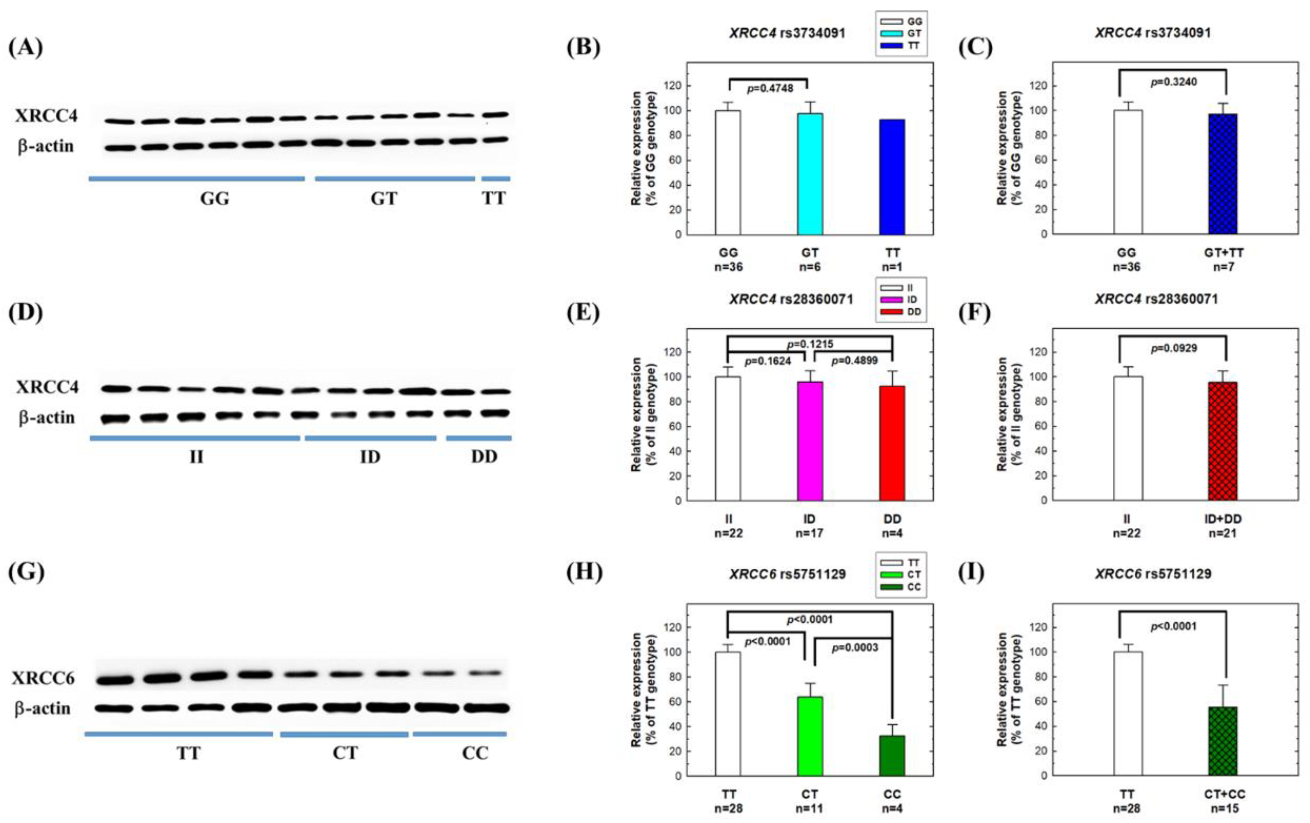 Biomedicines 11 01648 g003 Biomedicines 11 01648 g003