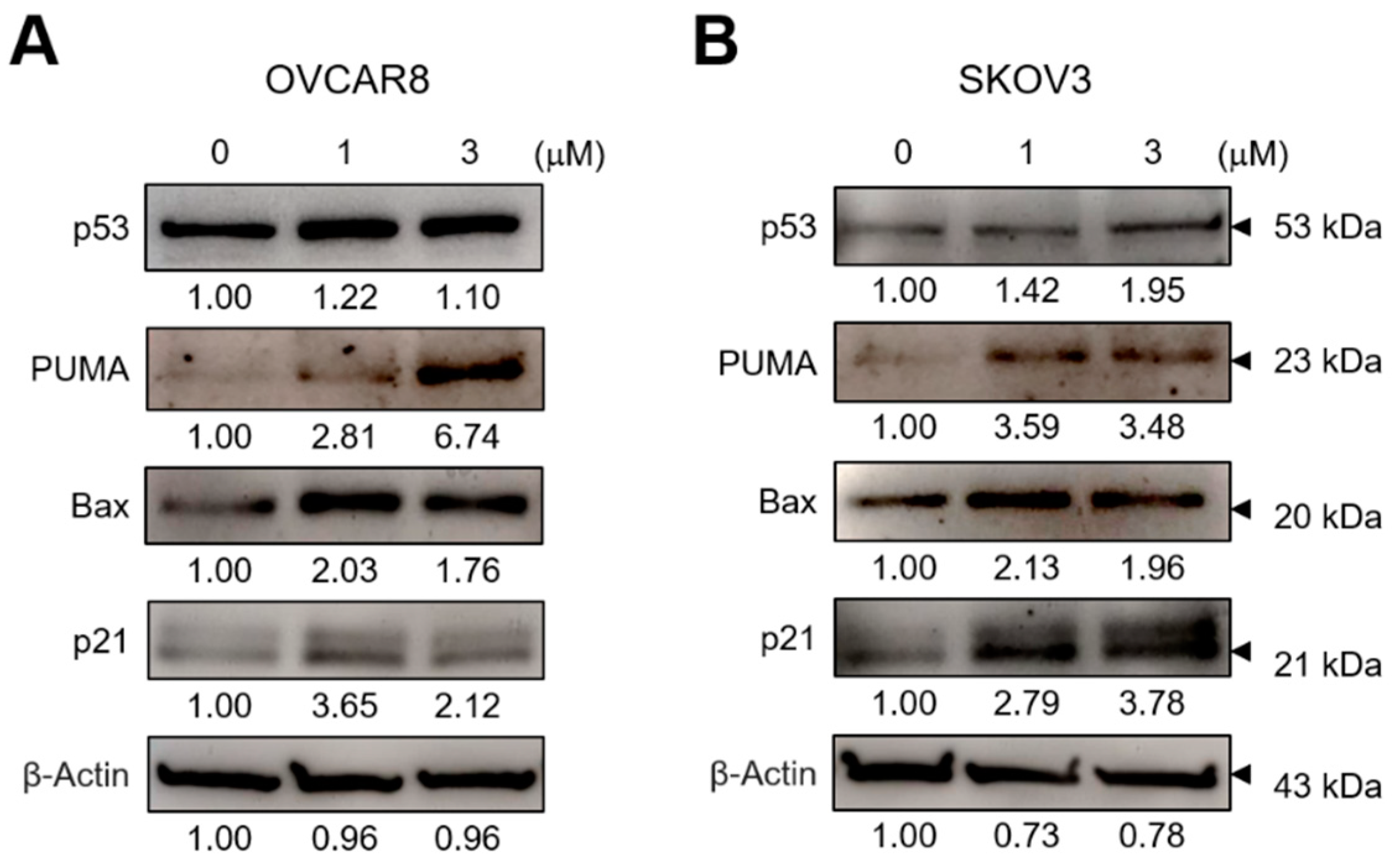Biomedicines 11 01657 g005 Biomedicines 11 01657 g005