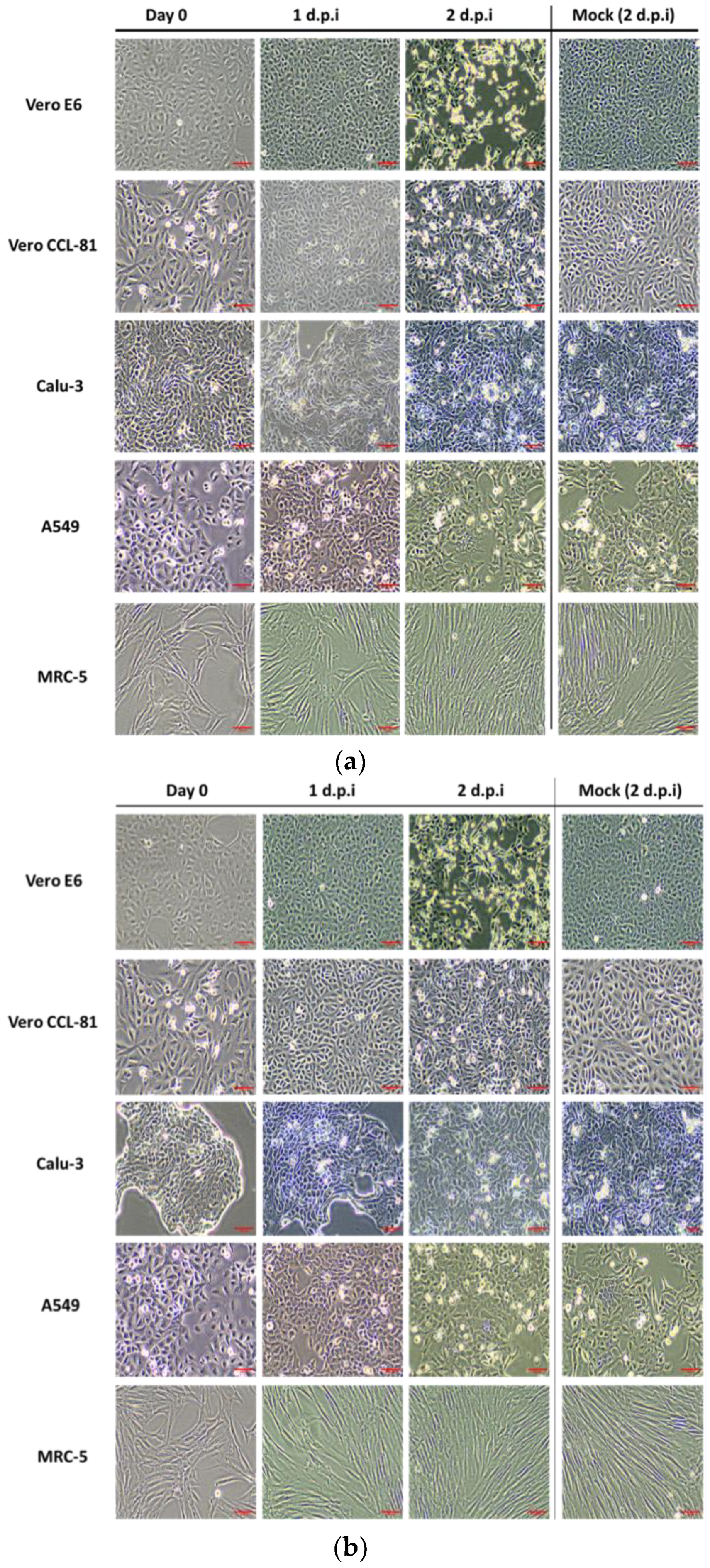 Biomedicines 11 01658 g001a