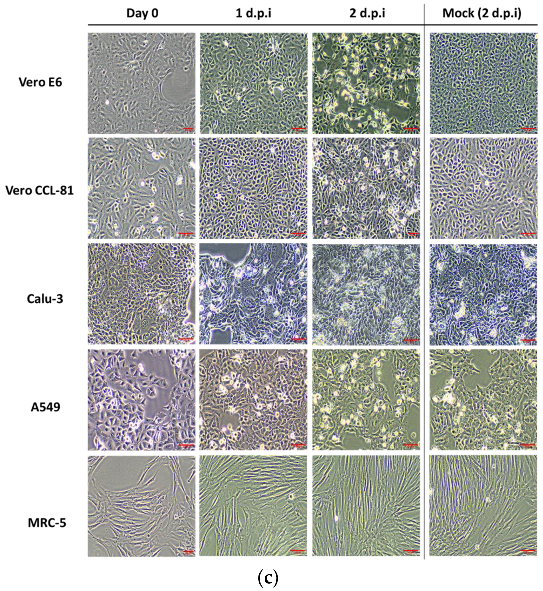 Biomedicines 11 01658 g001b