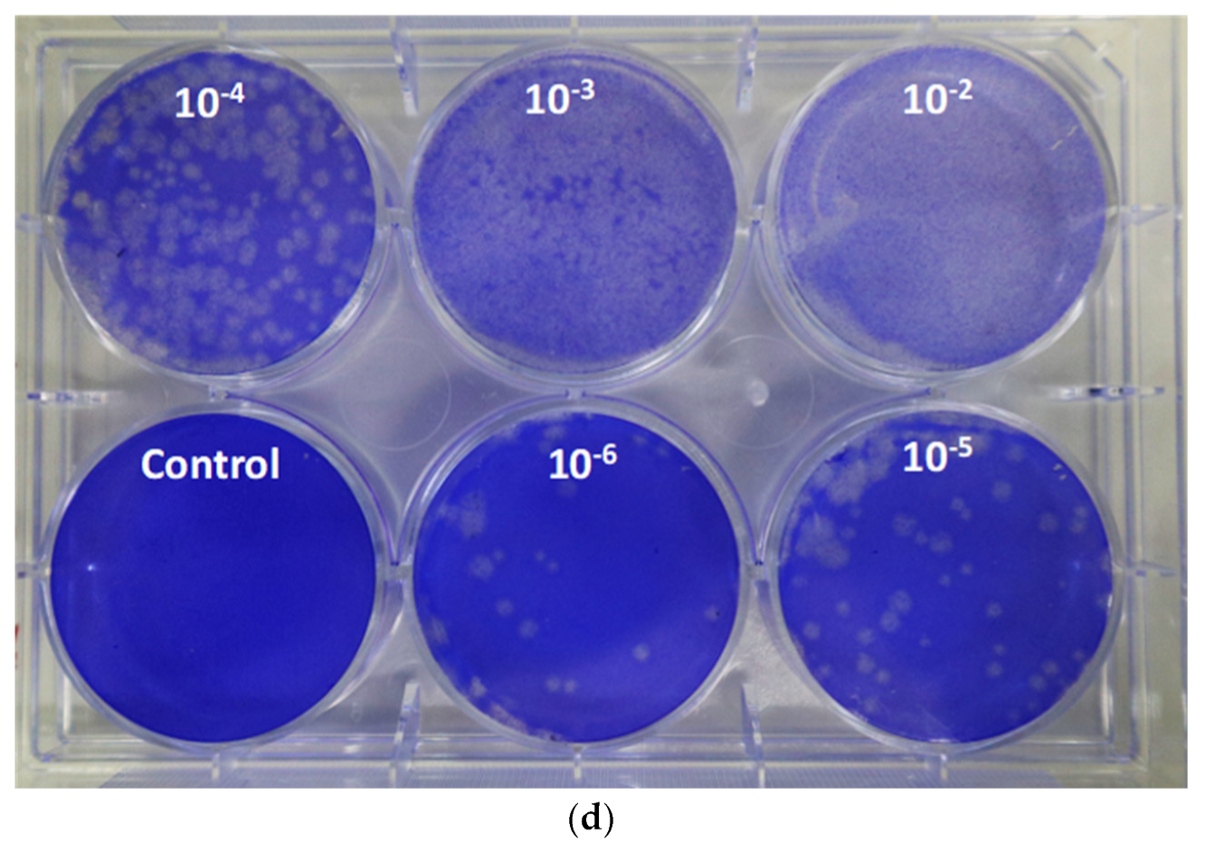 Biomedicines 11 01658 g003b