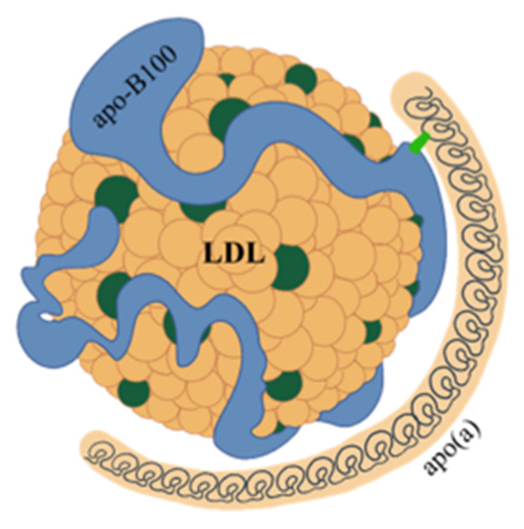Biomedicines 11 01661 g001