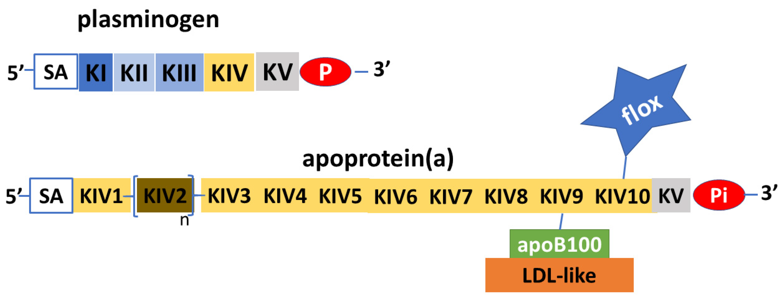 Biomedicines 11 01661 g002