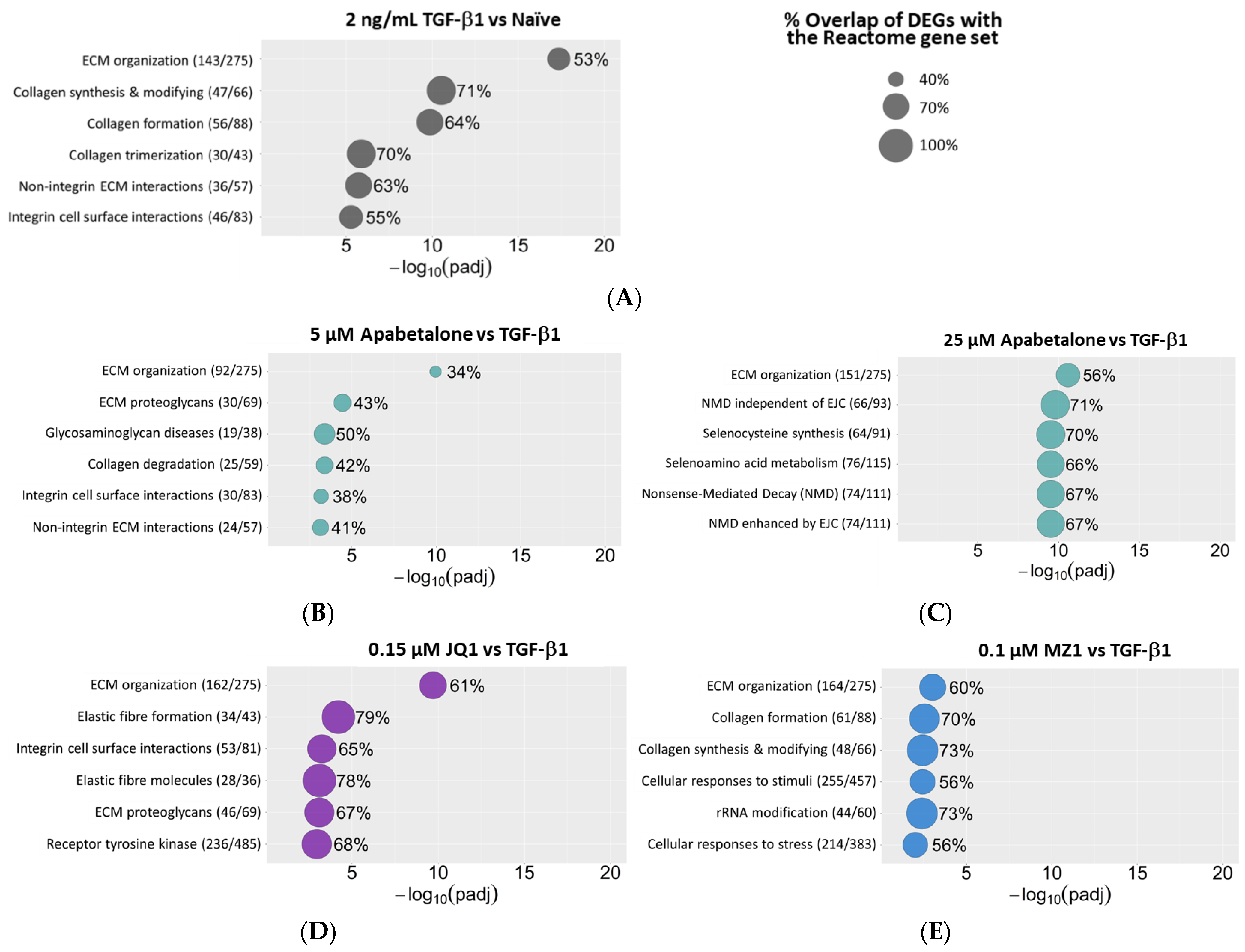 Biomedicines 11 01663 g005