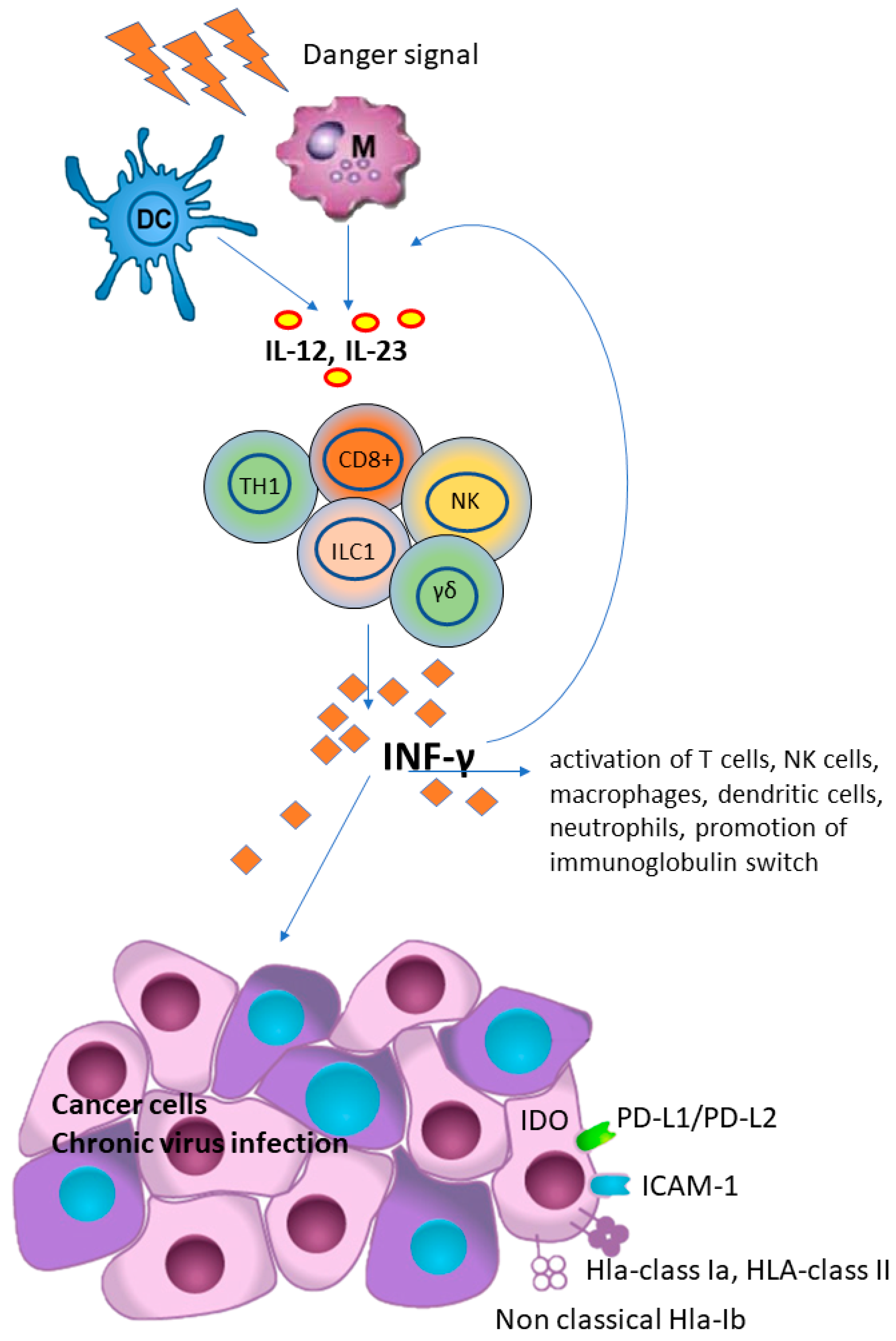 Biomedicines 11 01672 g001