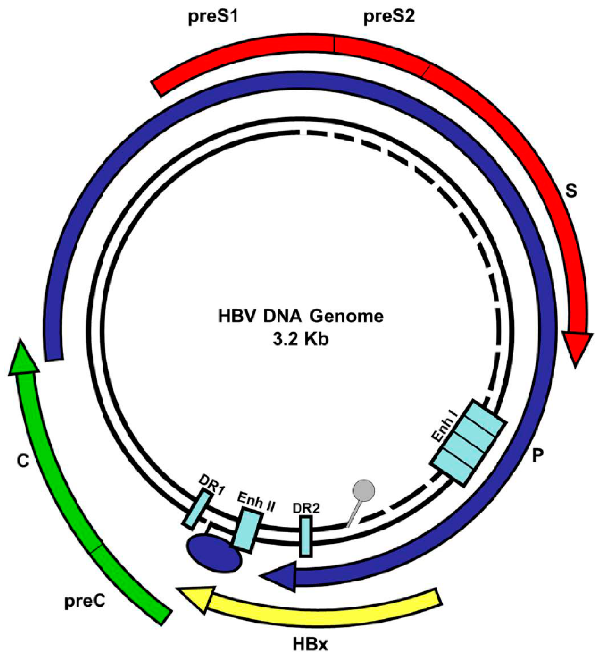 Biomedicines 11 01674 g001
