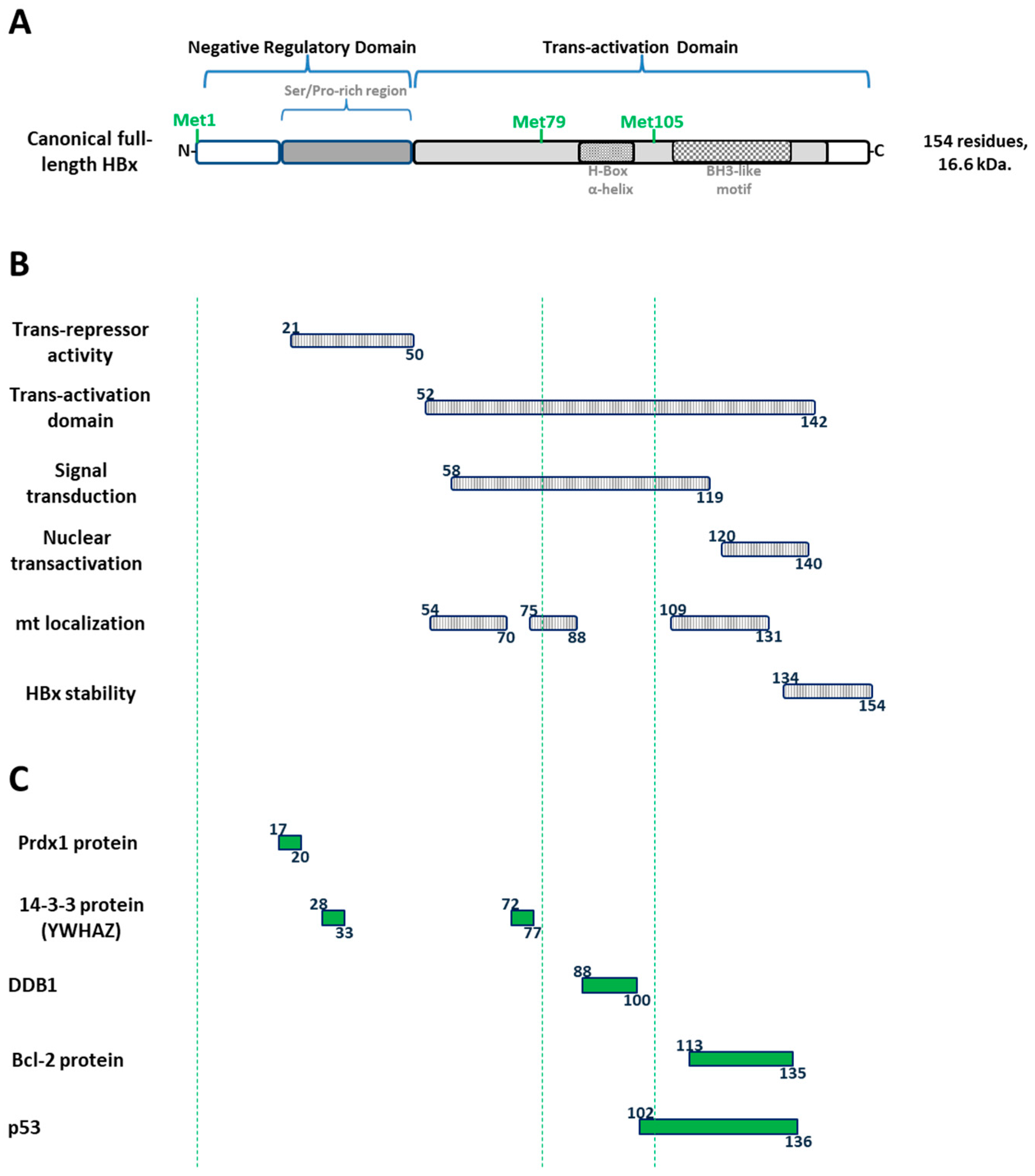 Biomedicines 11 01674 g004