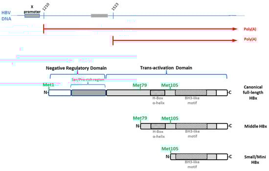Biomedicines 11 01674 g005