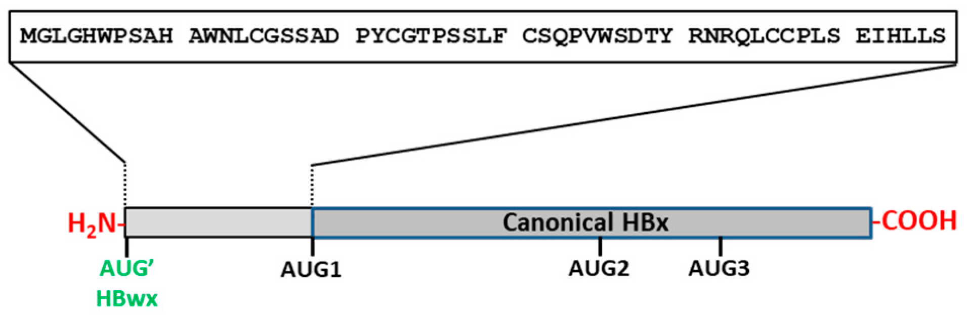 Biomedicines 11 01674 g006