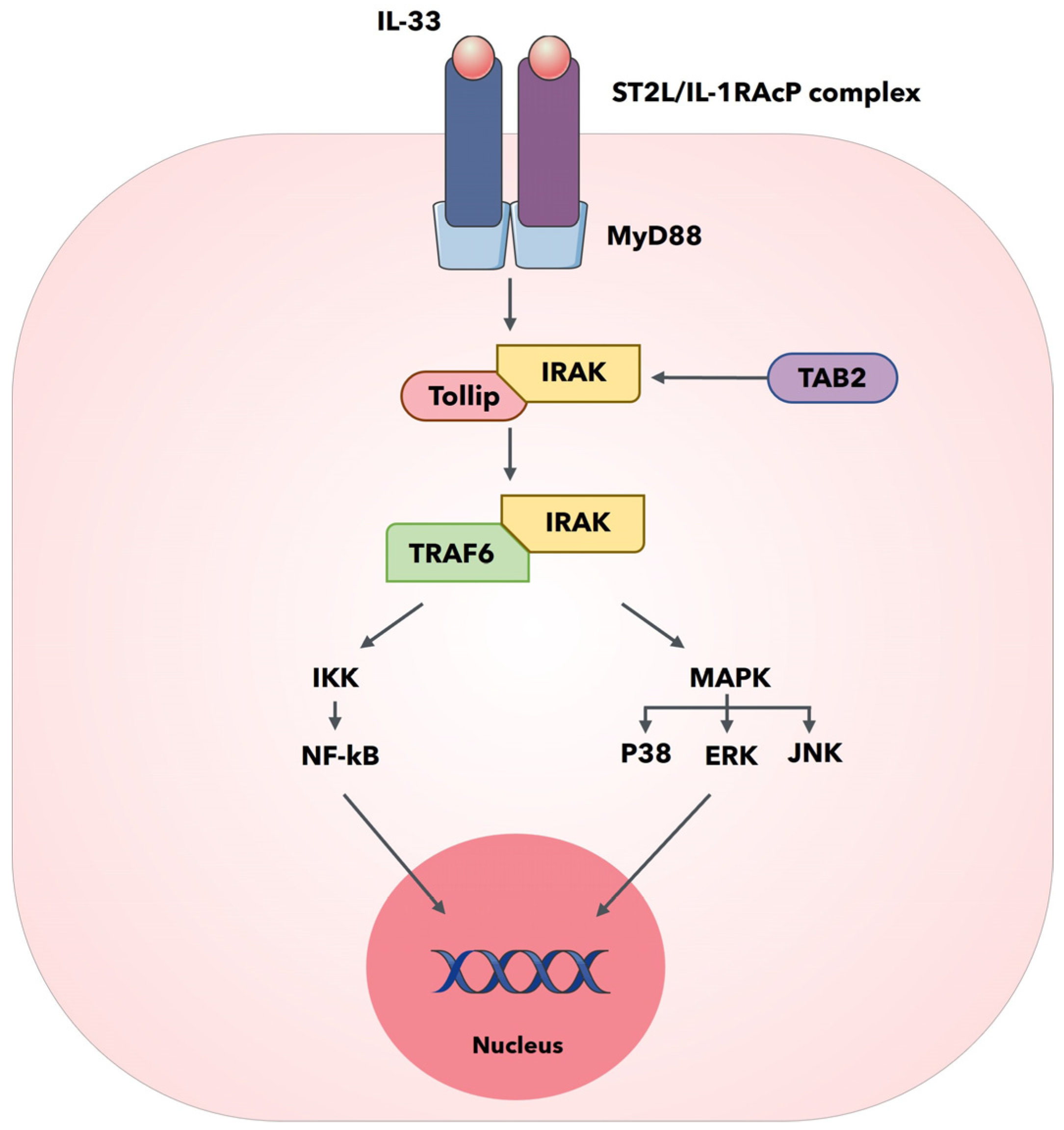 Biomedicines 11 01676 g001 Biomedicines 11 01676 g001