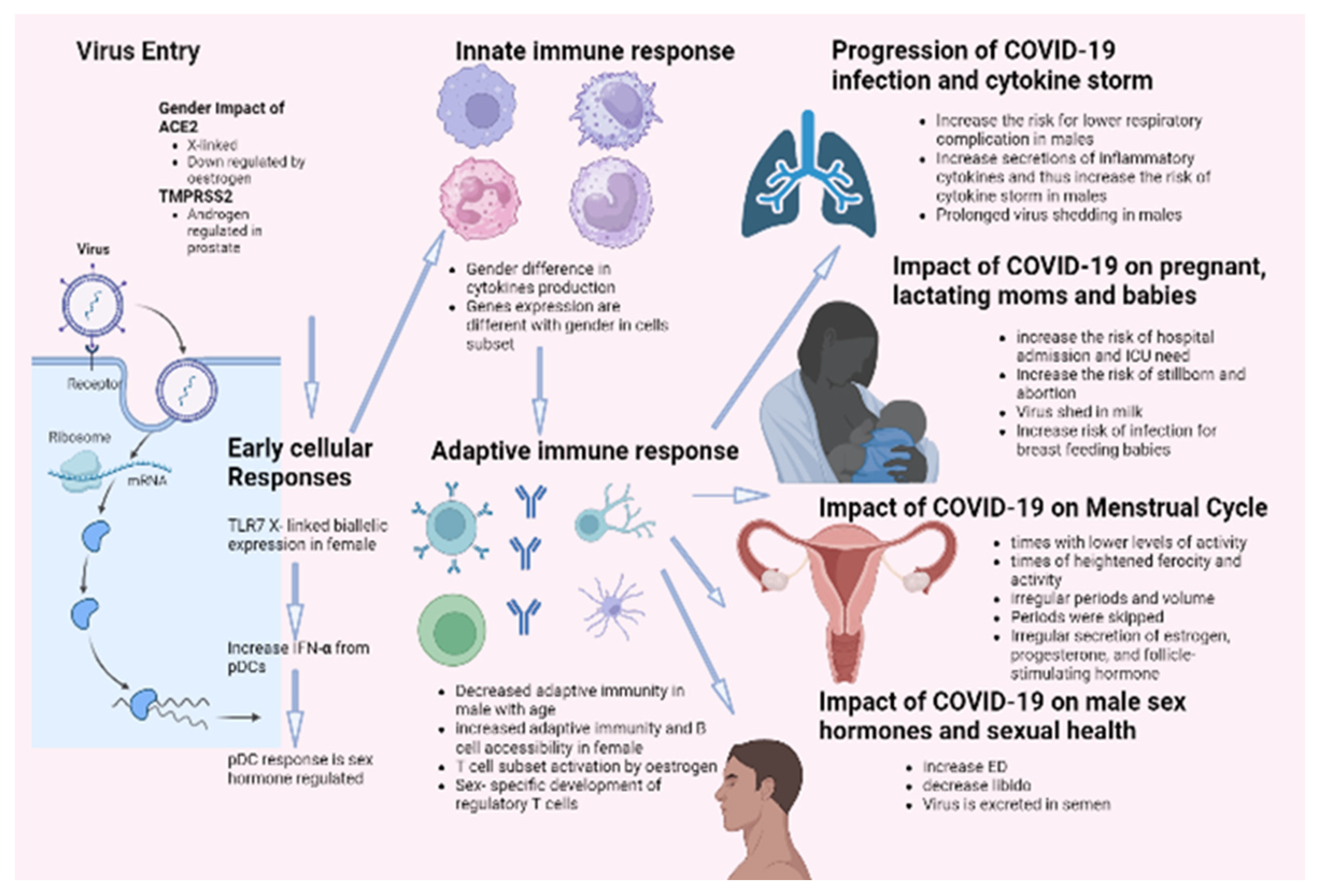 Biomedicines 11 01677 g003 Biomedicines 11 01677 g003