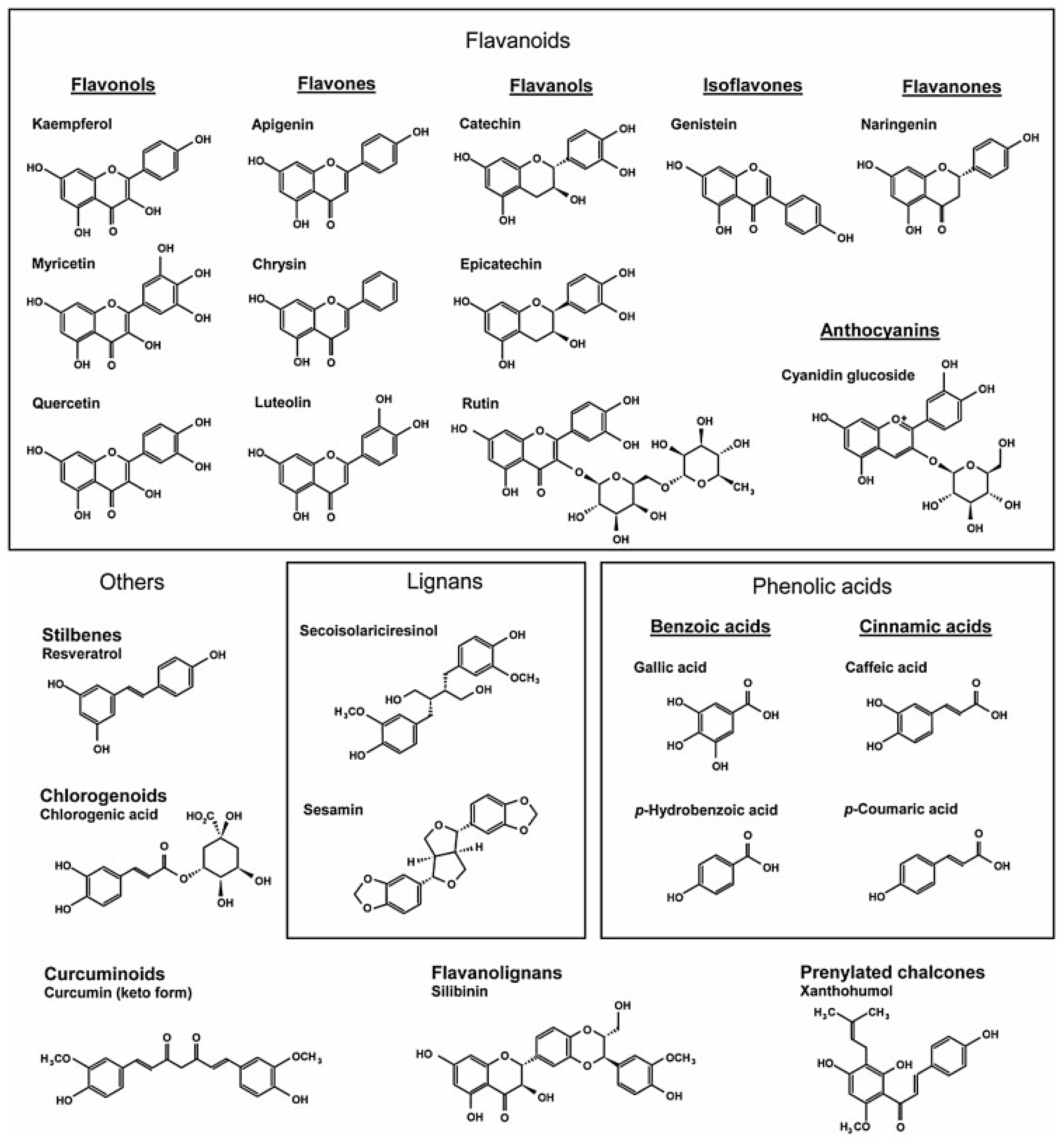 Biomedicines 11 01697 g001