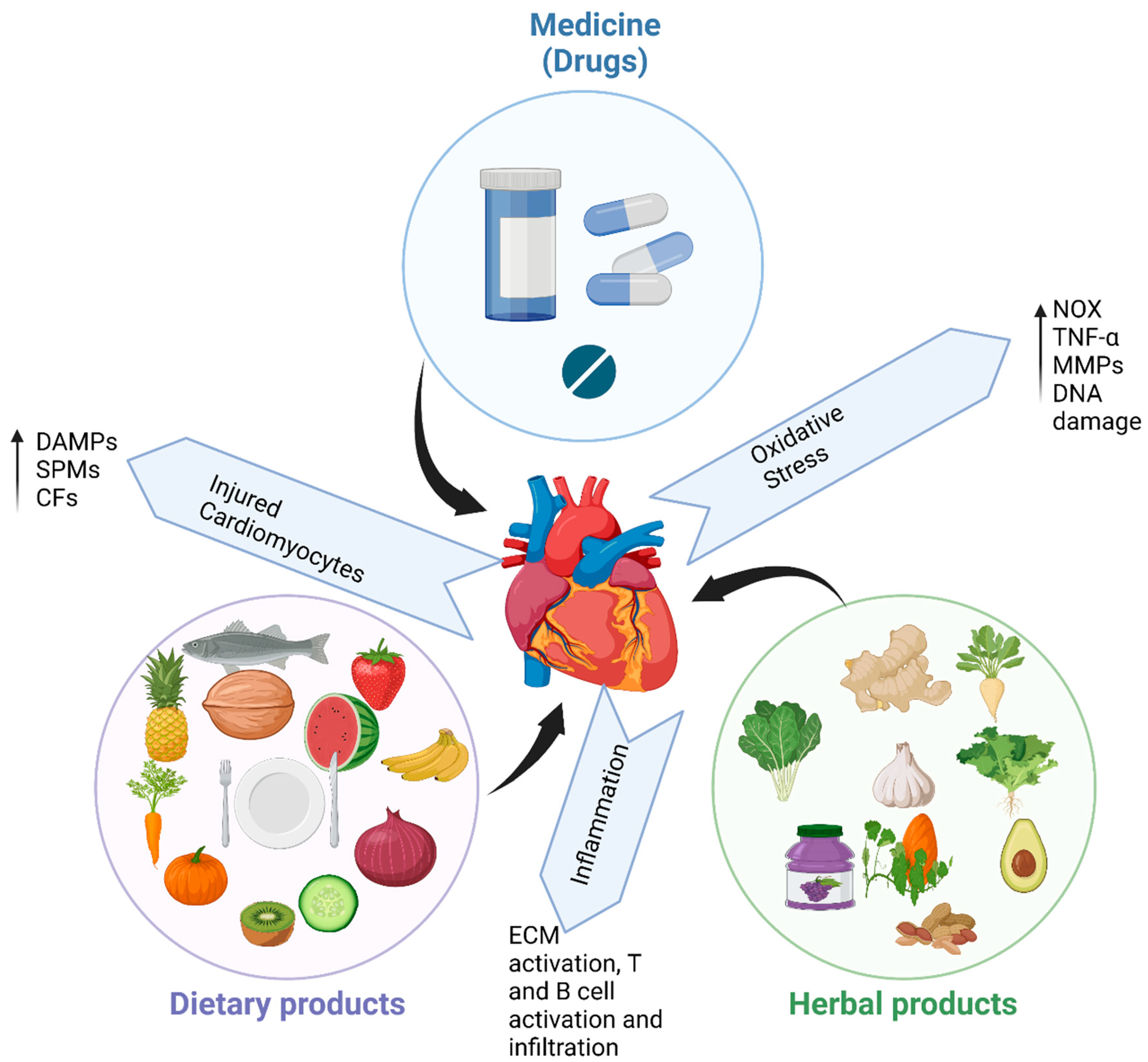 Biomedicines 11 01697 g002