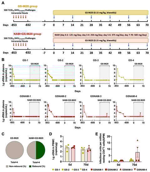 Biomedicines 11 01707 g001