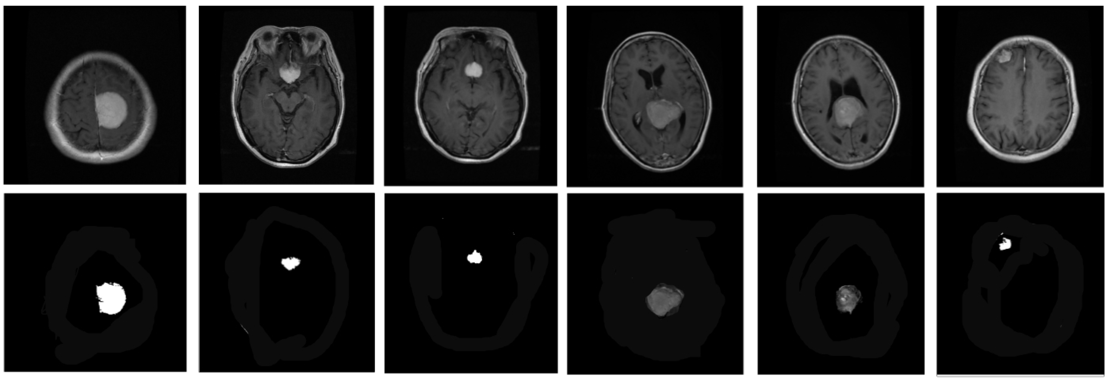 Biomedicines 11 01715 g002