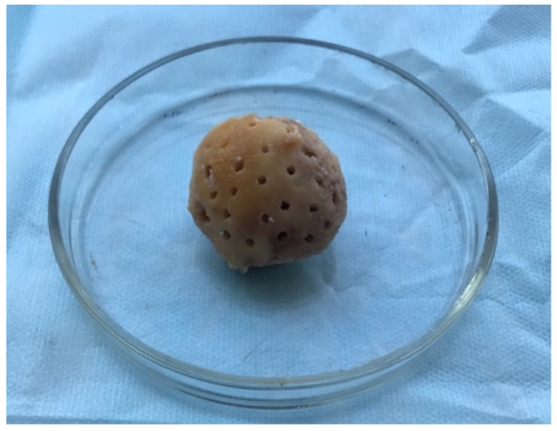 Biomedicines 11 01729 g001