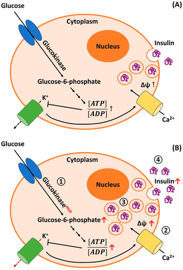 Biomedicines 11 01732 g001
