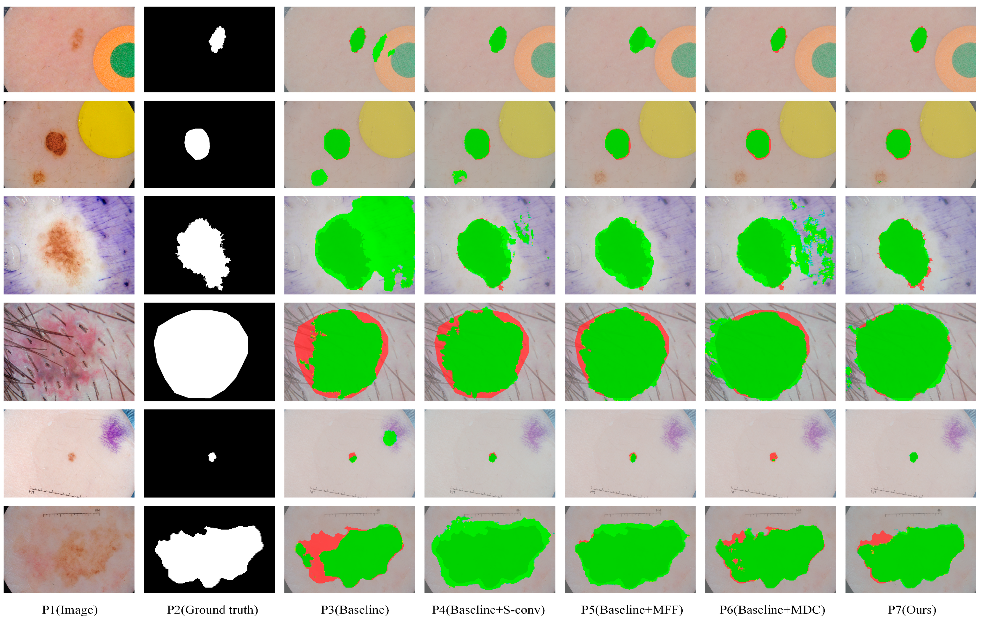 Biomedicines 11 01733 g006