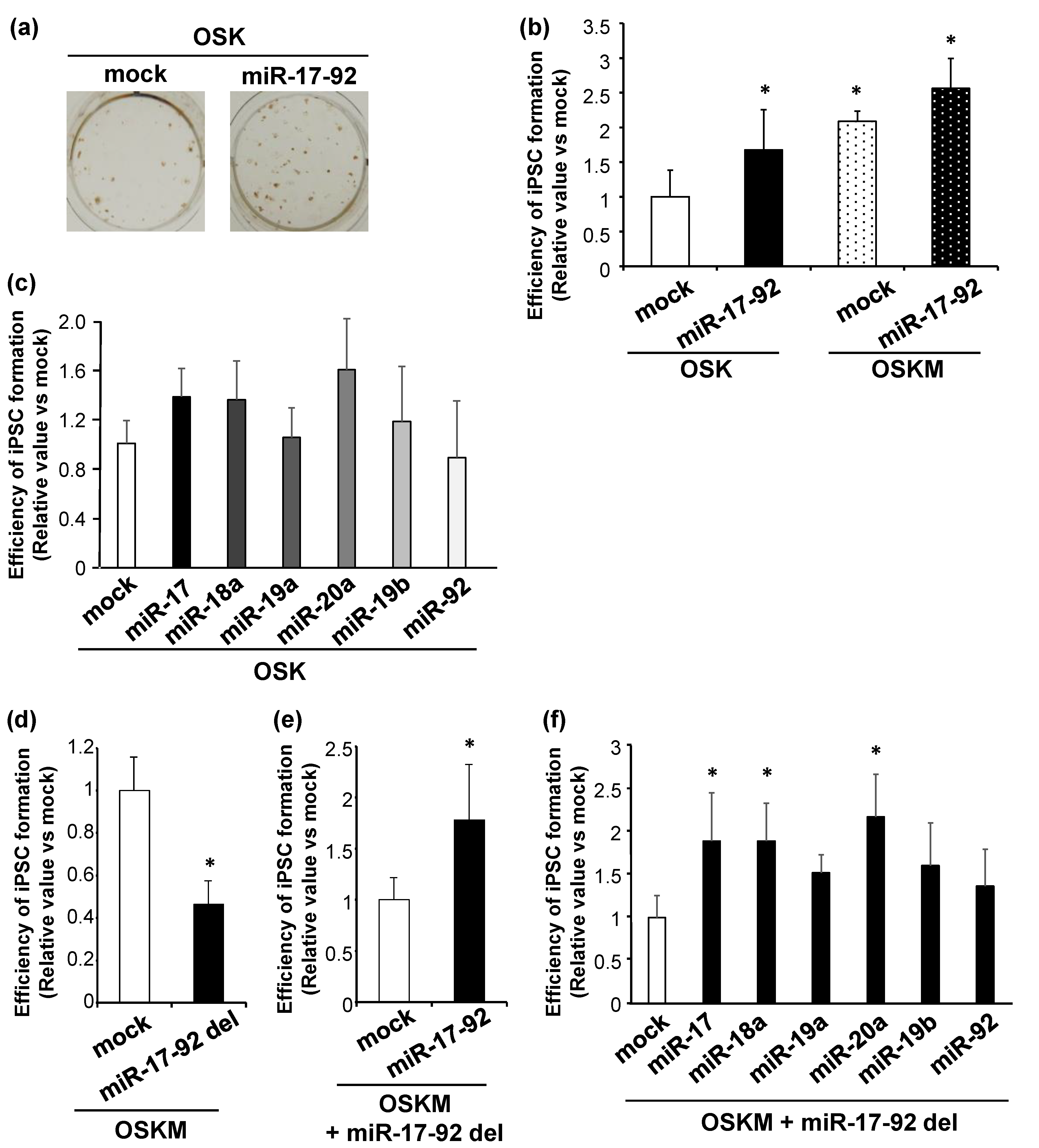 Biomedicines 11 01737 g002 Biomedicines 11 01737 g002