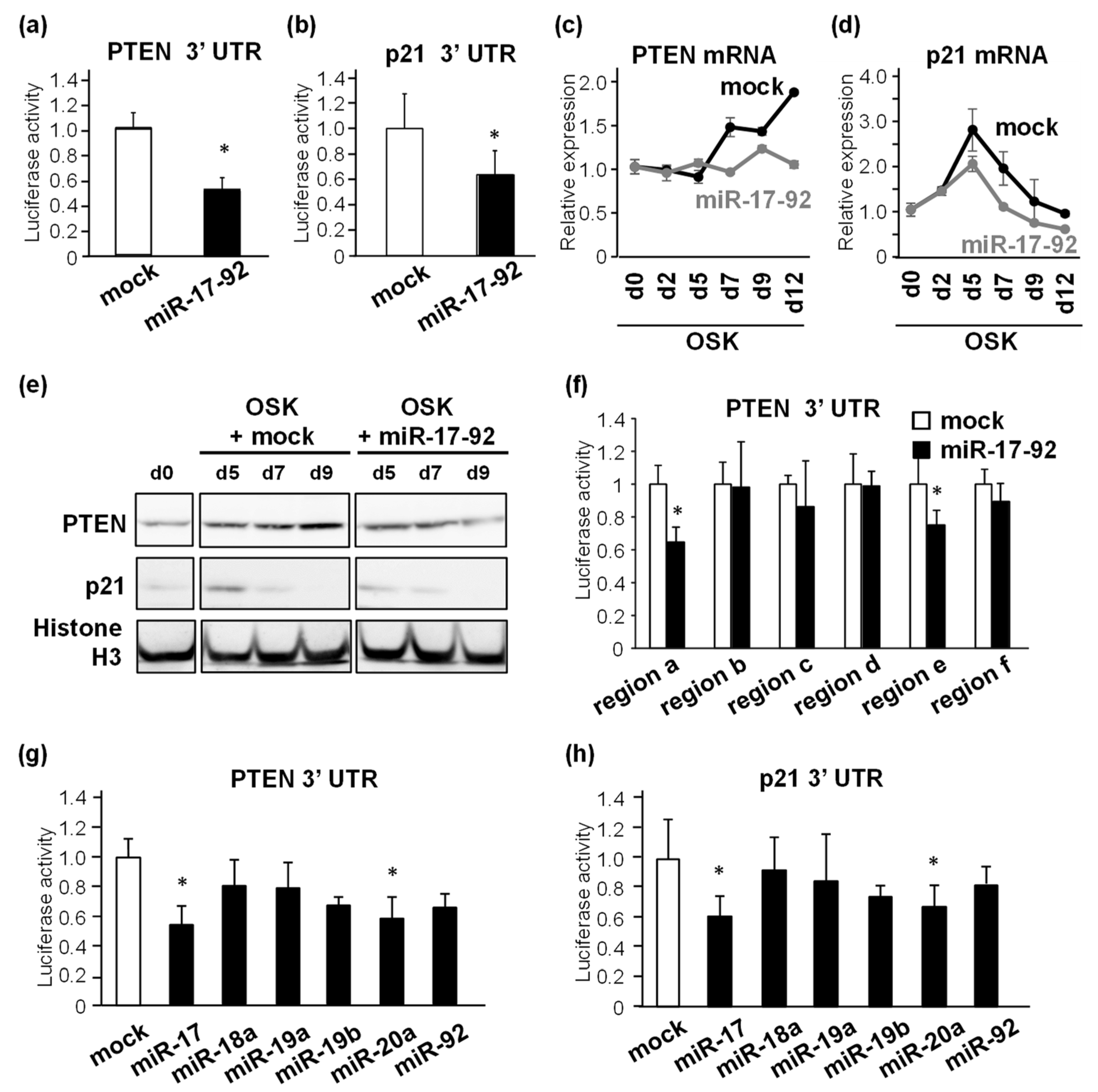 Biomedicines 11 01737 g004 Biomedicines 11 01737 g004