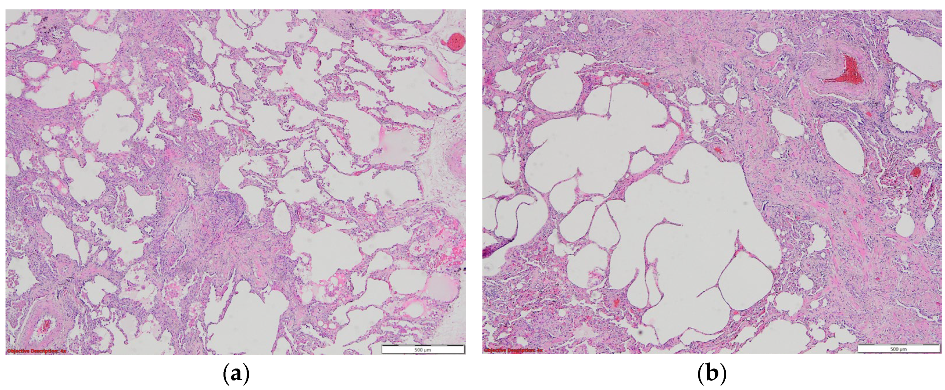 Biomedicines 11 01739 g007