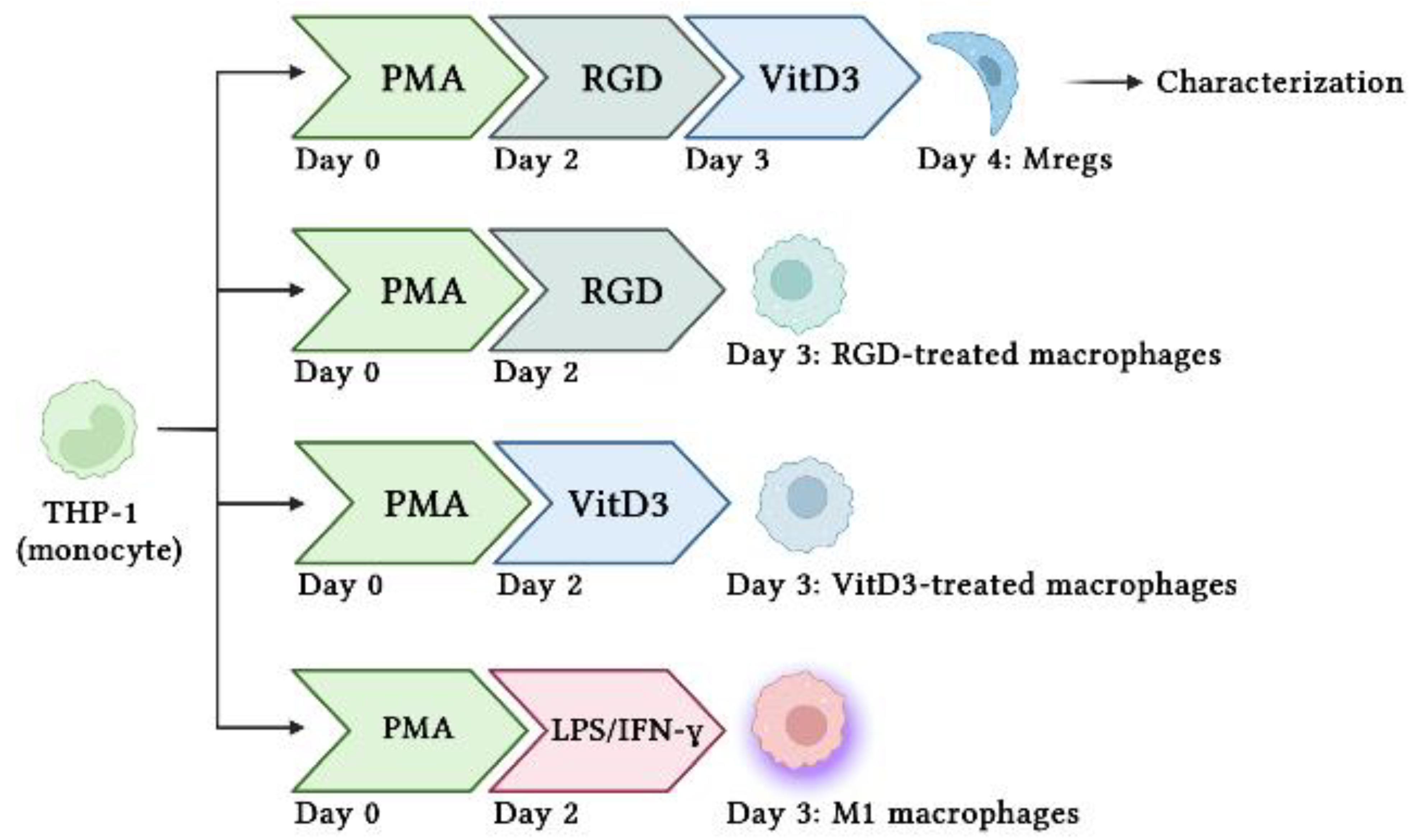 Biomedicines 11 01740 g001