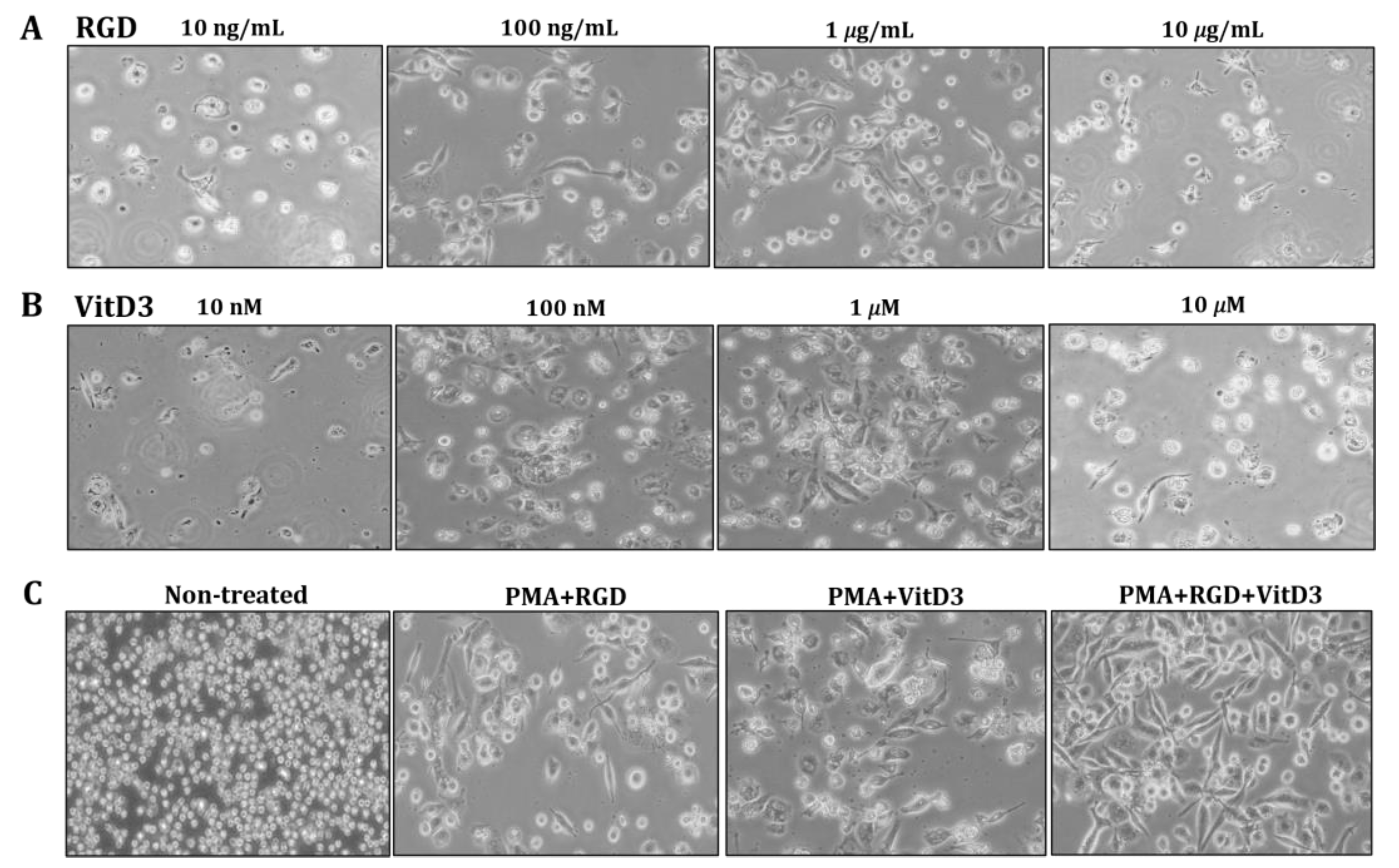 Biomedicines 11 01740 g002