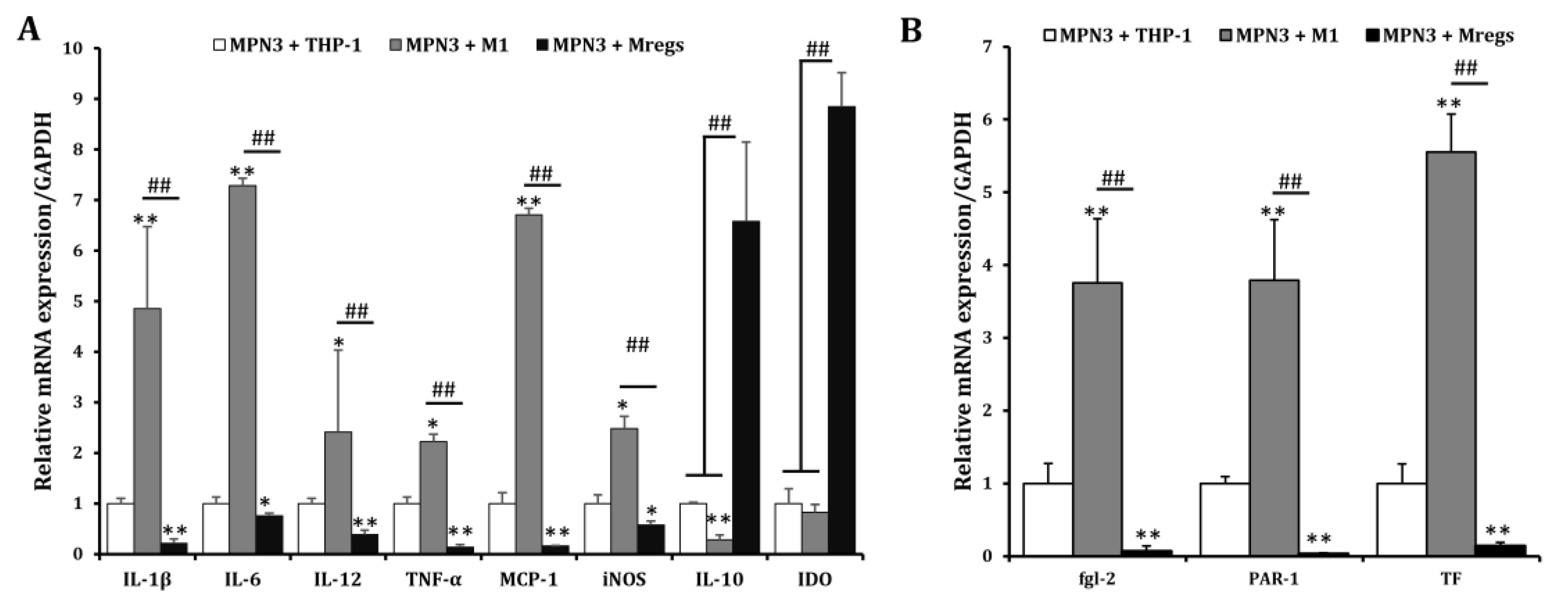 Biomedicines 11 01740 g008