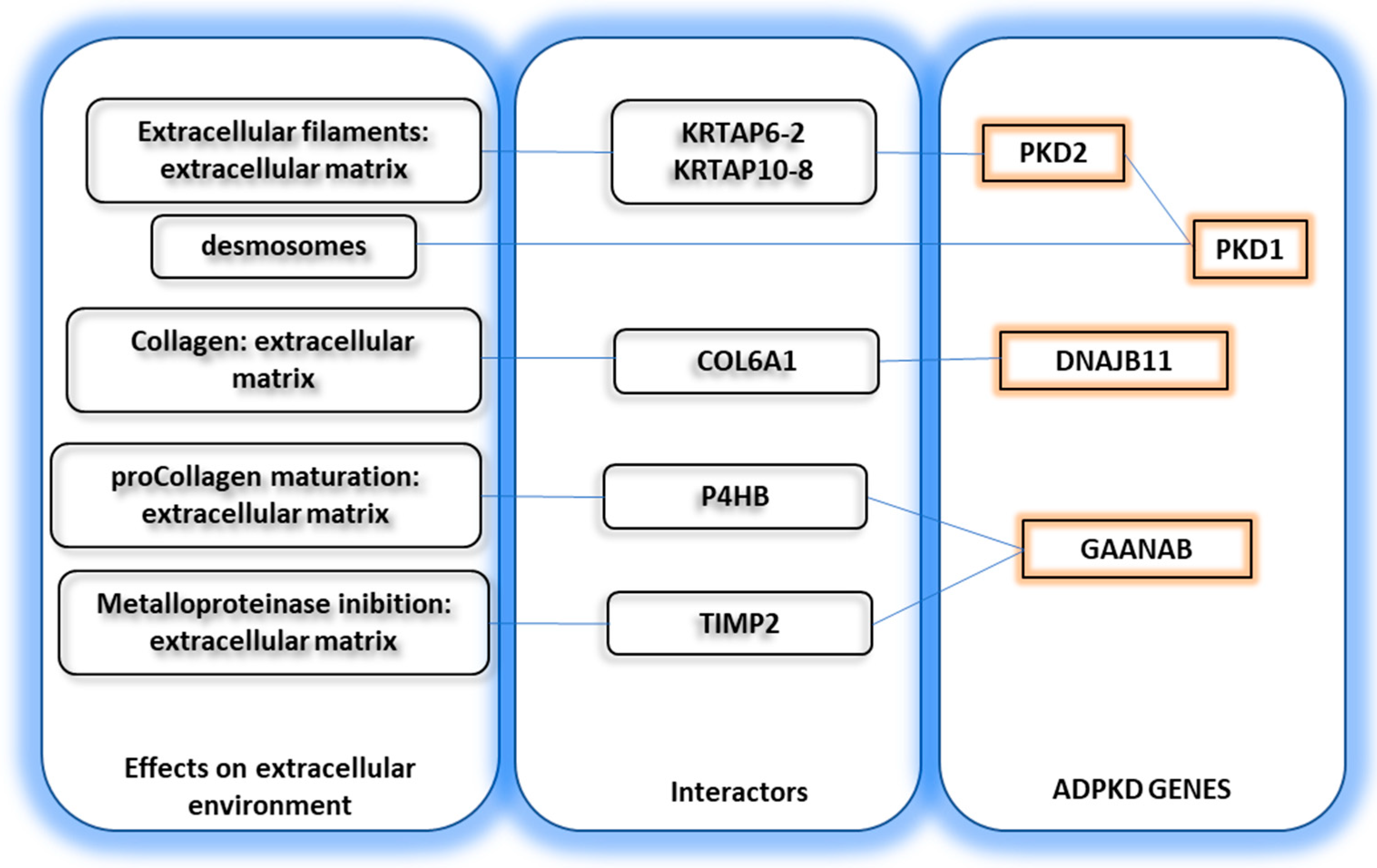 Biomedicines 11 01750 g002 Biomedicines 11 01750 g002