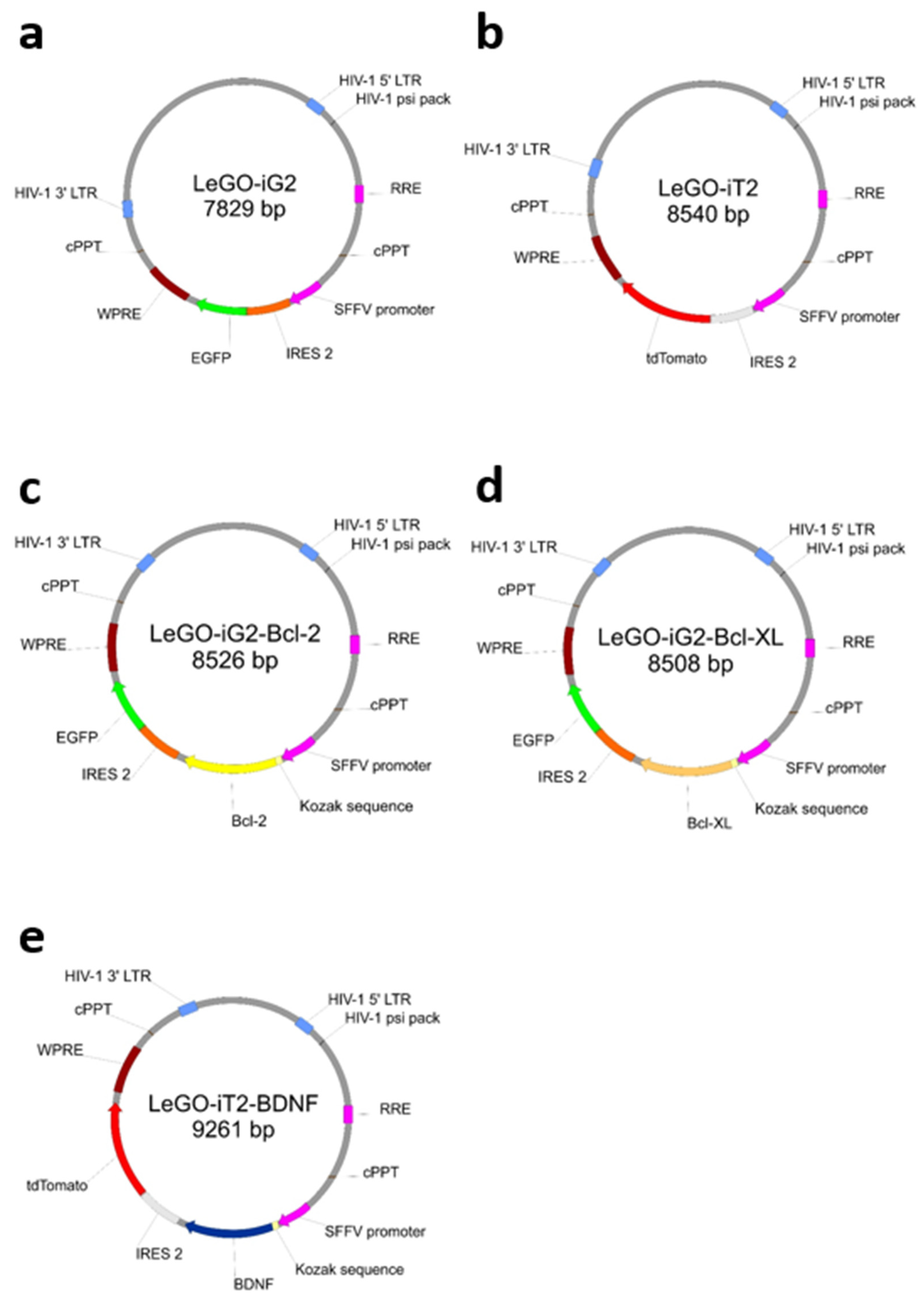 Biomedicines 11 01751 g001