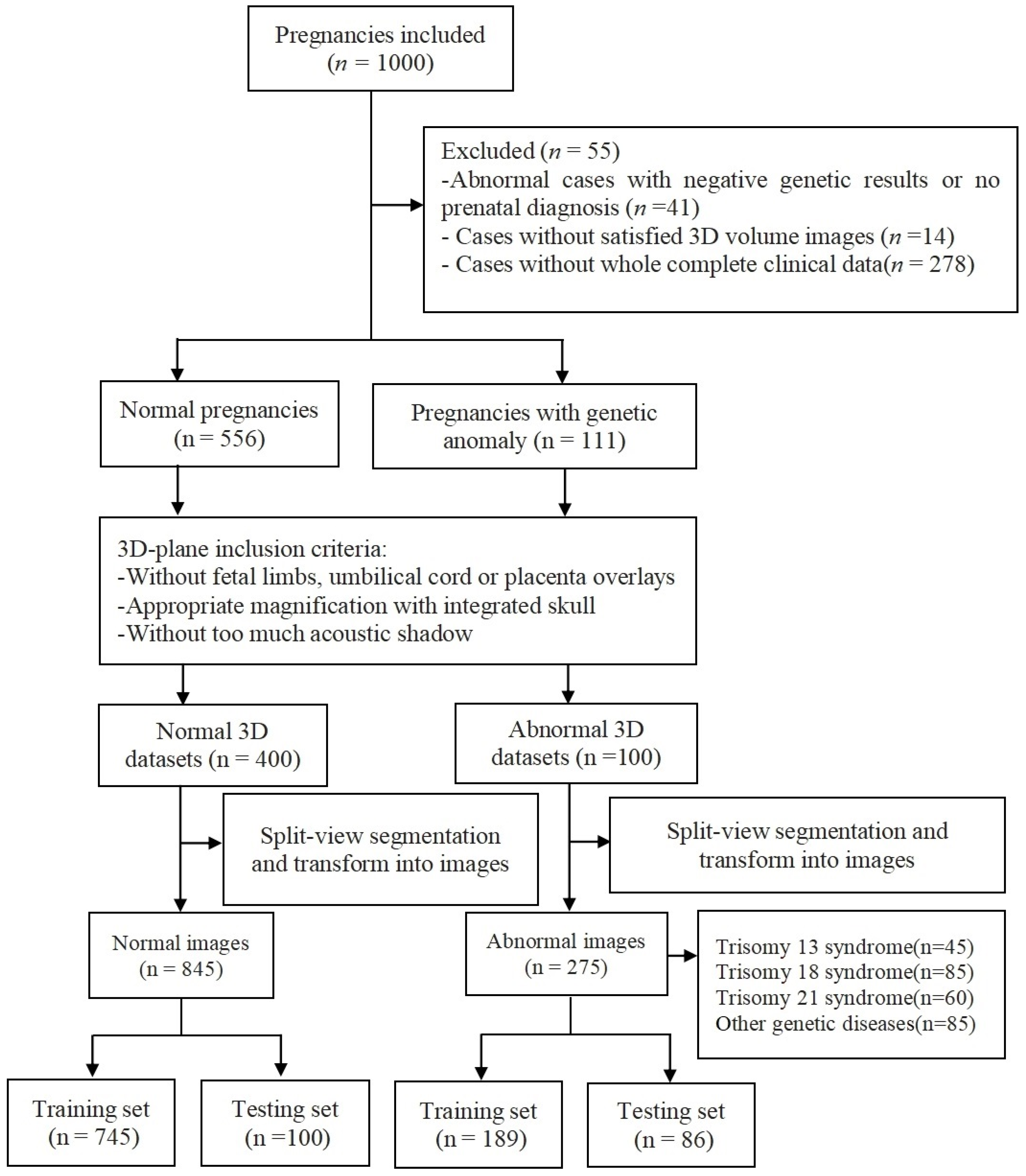 Biomedicines 11 01756 g001