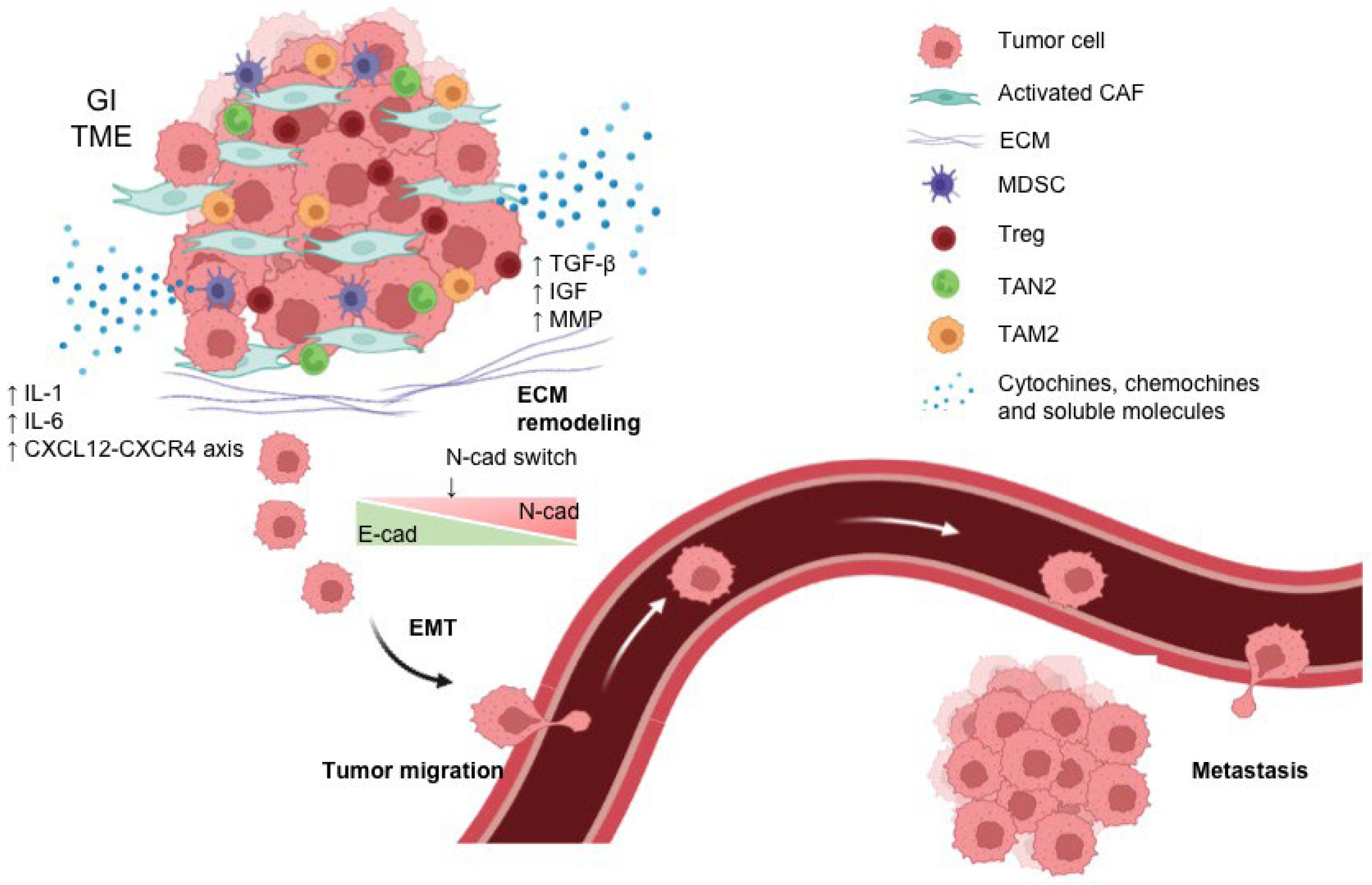 Biomedicines 11 01761 g001